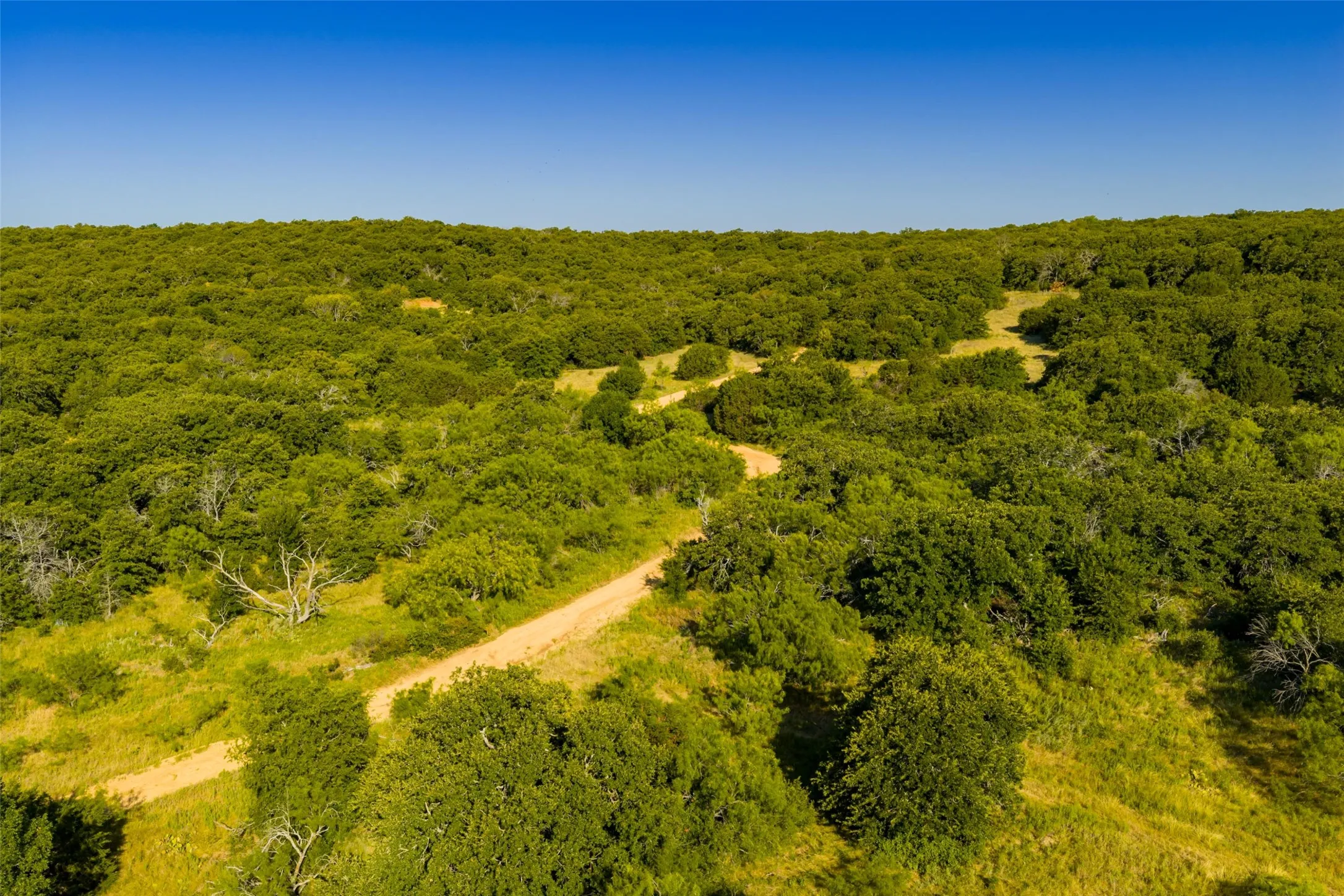 Unimproved Land For Sale in Jack County , TBD Nash Road, Jacksboro, Texas 76458, 0, 0, Garage spaces, 0 Sqft, built in 0, mls#21335252, Real Estate Agent in Jacksboro, Homes For Sale in Jack county, Homes For Sale in Jacksboro, Realtor in Jacksboro Texas, Real Estate Brokerage Independent Realty Texas, Luminita Cordes Realtor