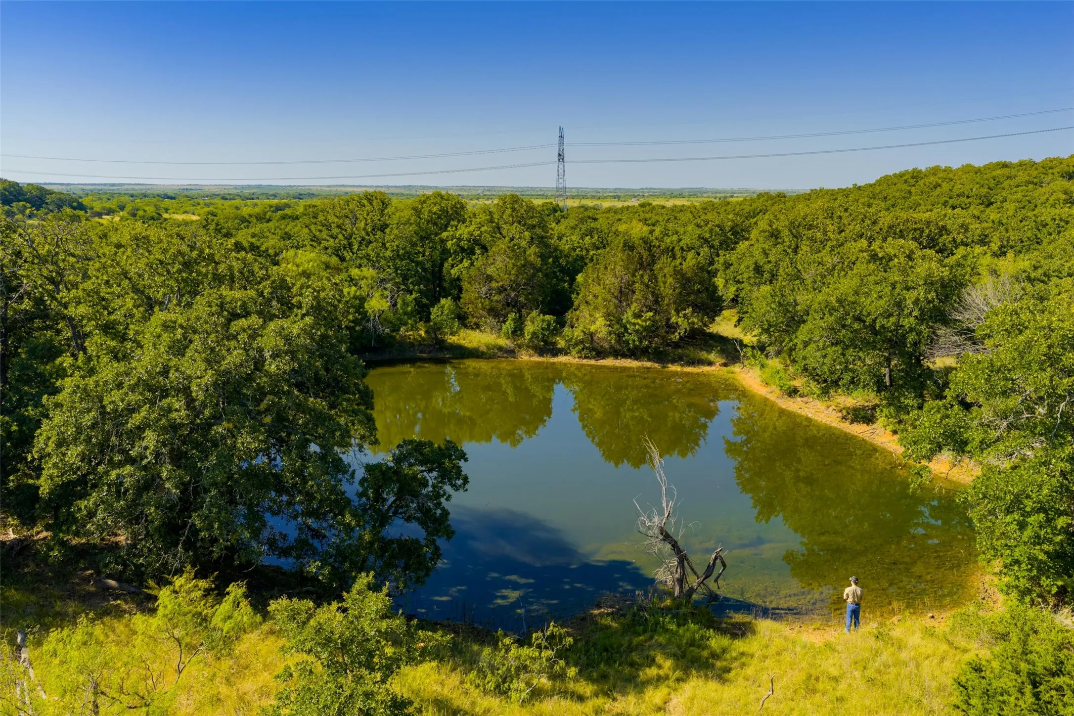 Unimproved Land For Sale in Jack County , TBD Nash Road, Jacksboro, Texas 76458, 0, 0, Garage spaces, 0 Sqft, built in 0, mls#21335252, Real Estate Agent in Jacksboro, Homes For Sale in Jack county, Homes For Sale in Jacksboro, Realtor in Jacksboro Texas, Real Estate Brokerage Independent Realty Texas, Luminita Cordes Realtor