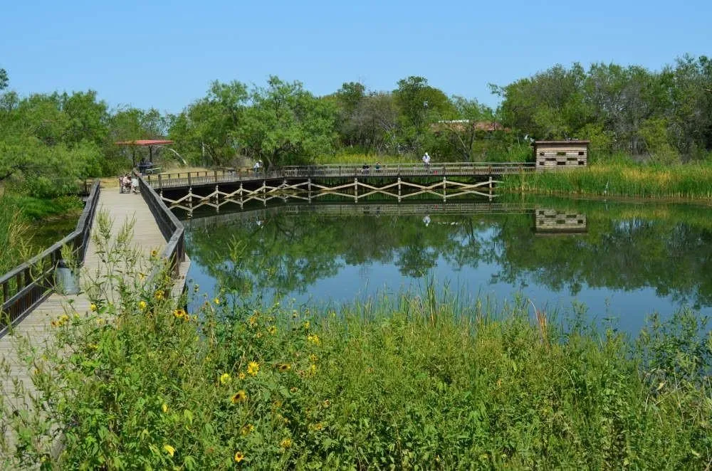 Improved Land For Sale in Ellis County , 2243 Alyssum, Cedar Hill, Texas 75104, 0, 0, Garage spaces, 0 Sqft, built in 0, Price $295,000, mls#21337148, Real Estate Agent in Cedar Hill, Homes For Sale in Ellis county, Homes For Sale in Cedar Hill, Realtor in Cedar Hill Texas, Real Estate Brokerage Independent Realty Texas, Luminita Cordes Realtor