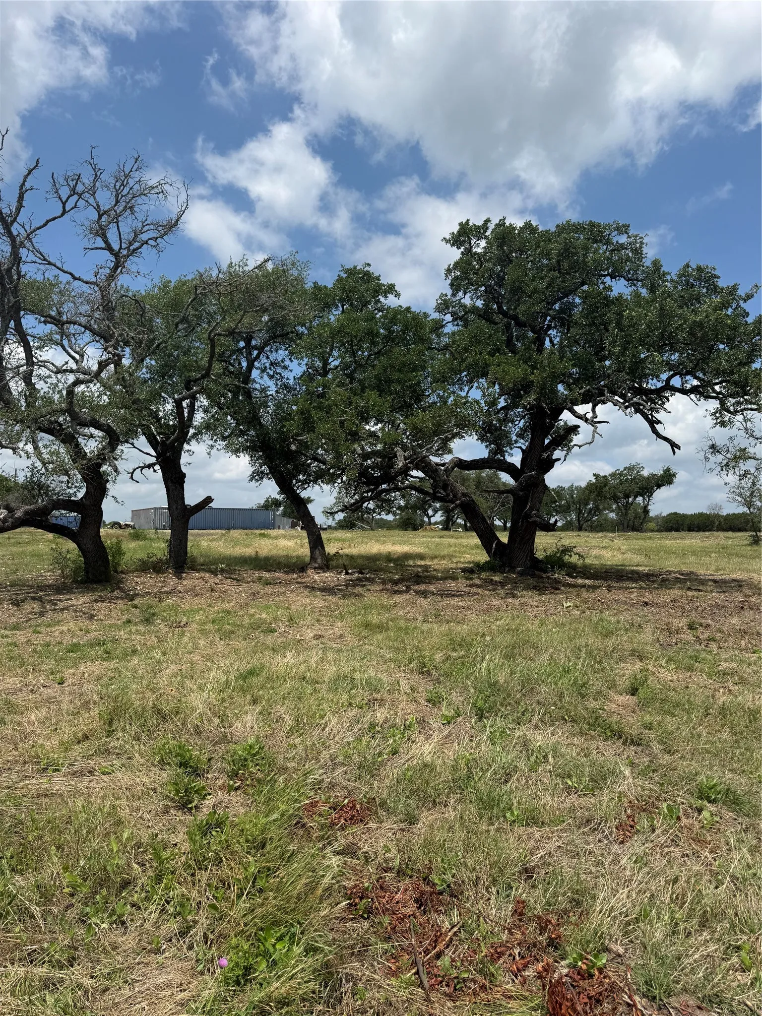 Improved Land For Sale in Lampasas County , 3905 Fm 2942, Lometa, Texas 76853, 0, 0, Garage spaces, 0 Sqft, built in 0, mls#21337461, Real Estate Agent in Lometa, Homes For Sale in Lampasas county, Homes For Sale in Lometa, Realtor in Lometa Texas, Real Estate Brokerage Independent Realty Texas, Luminita Cordes Realtor