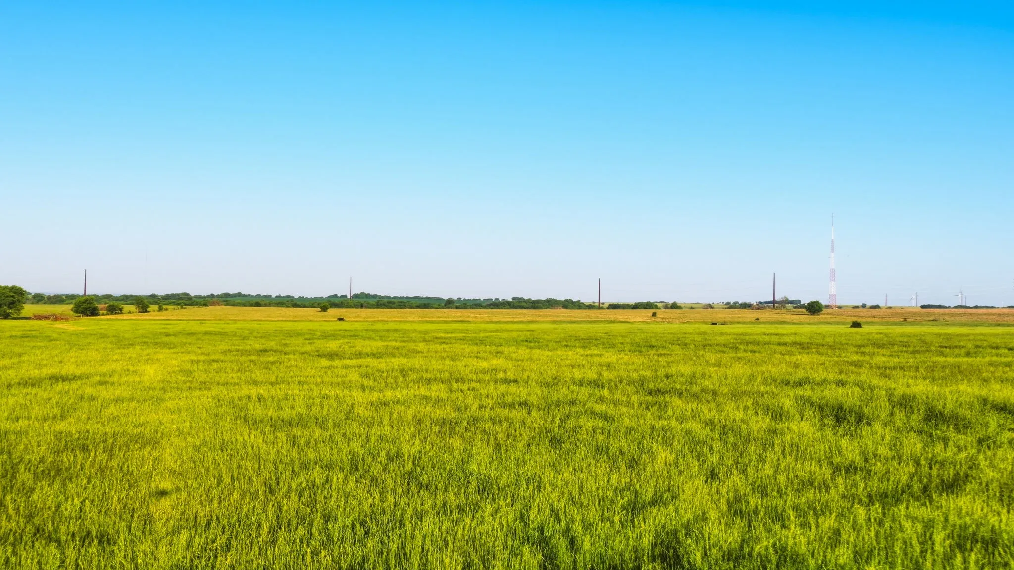 Ranch For Sale in Cooke County , 4557 County Road 331, Era, Texas 76238, 0, 0, Garage spaces, 0 Sqft, built in 0, mls#21337479, Real Estate Agent in Era, Homes For Sale in Cooke county, Homes For Sale in Era, Realtor in Era Texas, Real Estate Brokerage Independent Realty Texas, Luminita Cordes Realtor