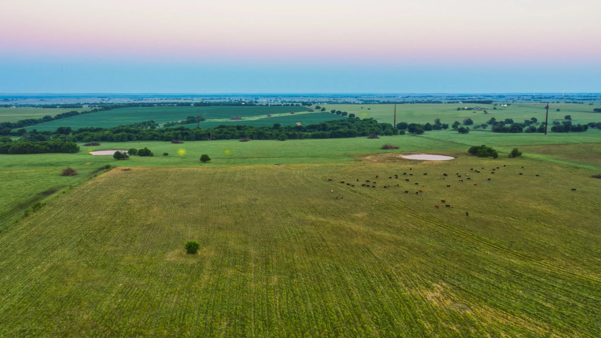 Ranch For Sale in Cooke County , 4557 County Road 331, Era, Texas 76238, 0, 0, Garage spaces, 0 Sqft, built in 0, mls#21337479, Real Estate Agent in Era, Homes For Sale in Cooke county, Homes For Sale in Era, Realtor in Era Texas, Real Estate Brokerage Independent Realty Texas, Luminita Cordes Realtor