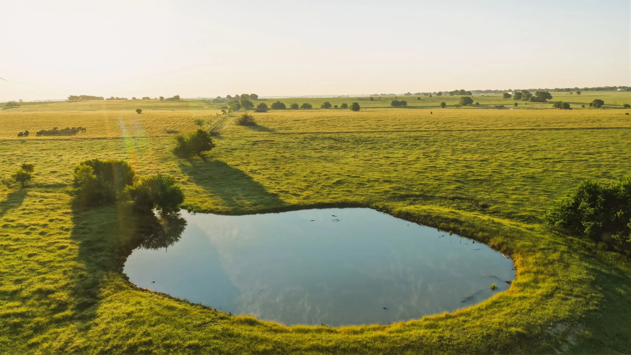 Ranch For Sale in Cooke County , 4557 County Road 331, Era, Texas 76238, 0, 0, Garage spaces, 0 Sqft, built in 0, mls#21337479, Real Estate Agent in Era, Homes For Sale in Cooke county, Homes For Sale in Era, Realtor in Era Texas, Real Estate Brokerage Independent Realty Texas, Luminita Cordes Realtor