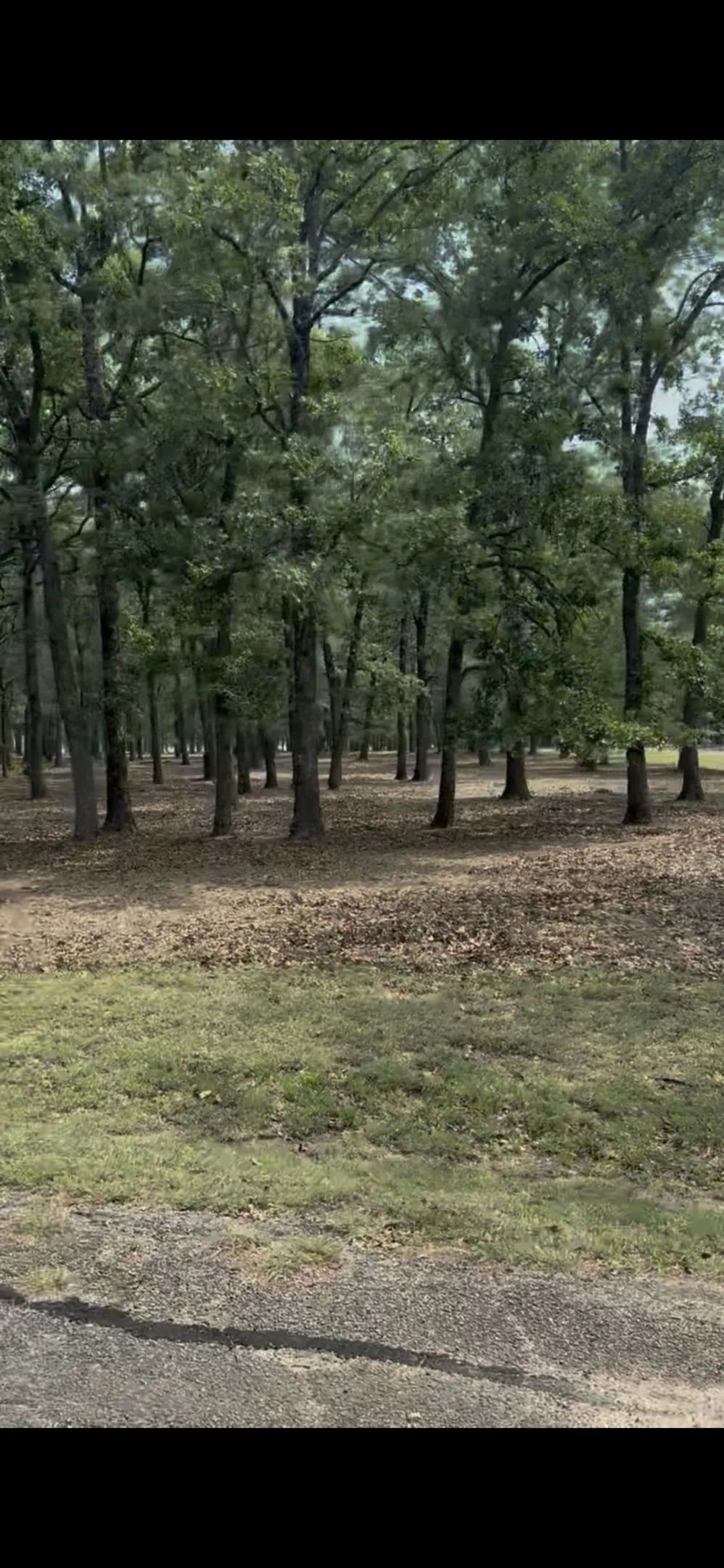 Improved Land For Sale in Henderson County , 132 Colonial Drive, Mabank, Texas 75156, 0, 0, Garage spaces, 0 Sqft, built in 0, Price $79,000, mls#21337499, Real Estate Agent in Mabank, Homes For Sale in Henderson county, Homes For Sale in Mabank, Realtor in Mabank Texas, Real Estate Brokerage Independent Realty Texas, Luminita Cordes Realtor