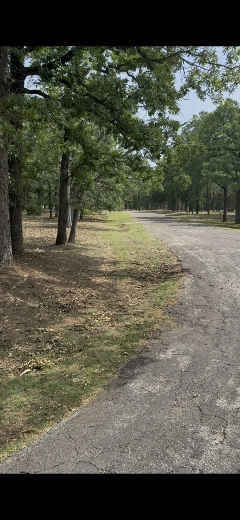 Improved Land For Sale in Henderson County , 132 Colonial Drive, Mabank, Texas 75156, 0, 0, Garage spaces, 0 Sqft, built in 0, Price $79,000, mls#21337499, Real Estate Agent in Mabank, Homes For Sale in Henderson county, Homes For Sale in Mabank, Realtor in Mabank Texas, Real Estate Brokerage Independent Realty Texas, Luminita Cordes Realtor