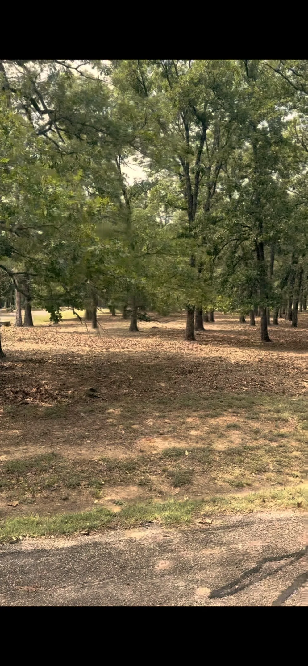 Improved Land For Sale in Henderson County , 132 Colonial Drive, Mabank, Texas 75156, 0, 0, Garage spaces, 0 Sqft, built in 0, Price $79,000, mls#21337499, Real Estate Agent in Mabank, Homes For Sale in Henderson county, Homes For Sale in Mabank, Realtor in Mabank Texas, Real Estate Brokerage Independent Realty Texas, Luminita Cordes Realtor