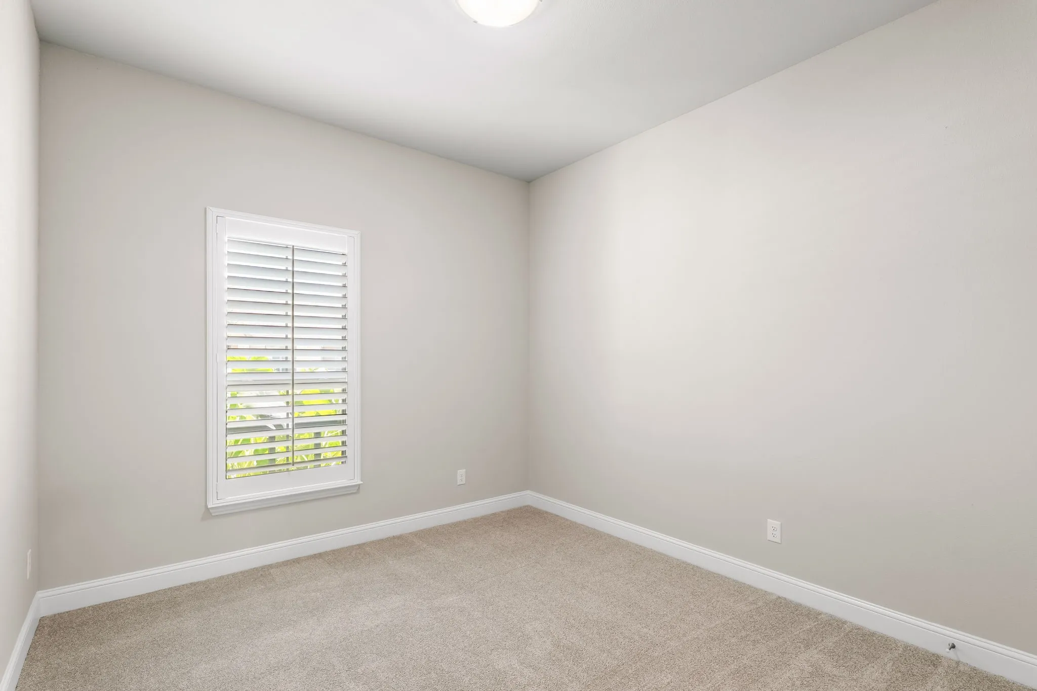 Neutral-toned room featuring a single window with white plantation shutters, light gray walls, and plush carpet flooring