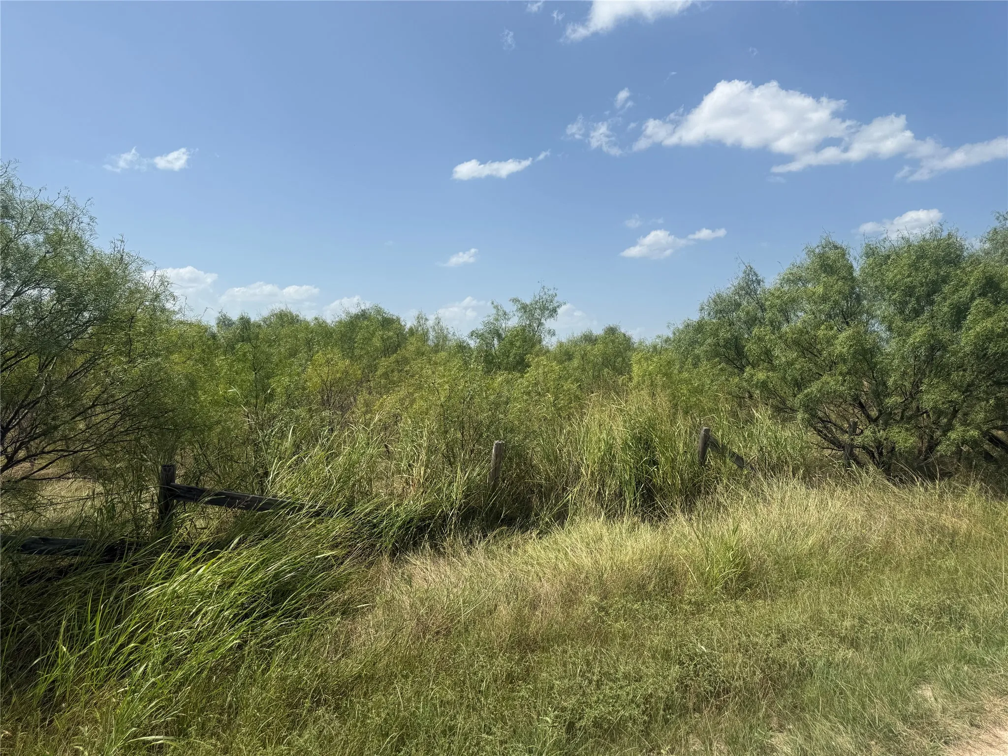 Improved Land For Sale in Brown County , 140 Arapaho Road, Brownwood, Texas 76801, 0, 0, Garage spaces, 0 Sqft, built in 0, mls#21337090, Real Estate Agent in Brownwood, Homes For Sale in Brown county, Homes For Sale in Brownwood, Realtor in Brownwood Texas, Real Estate Brokerage Independent Realty Texas, Luminita Cordes Realtor