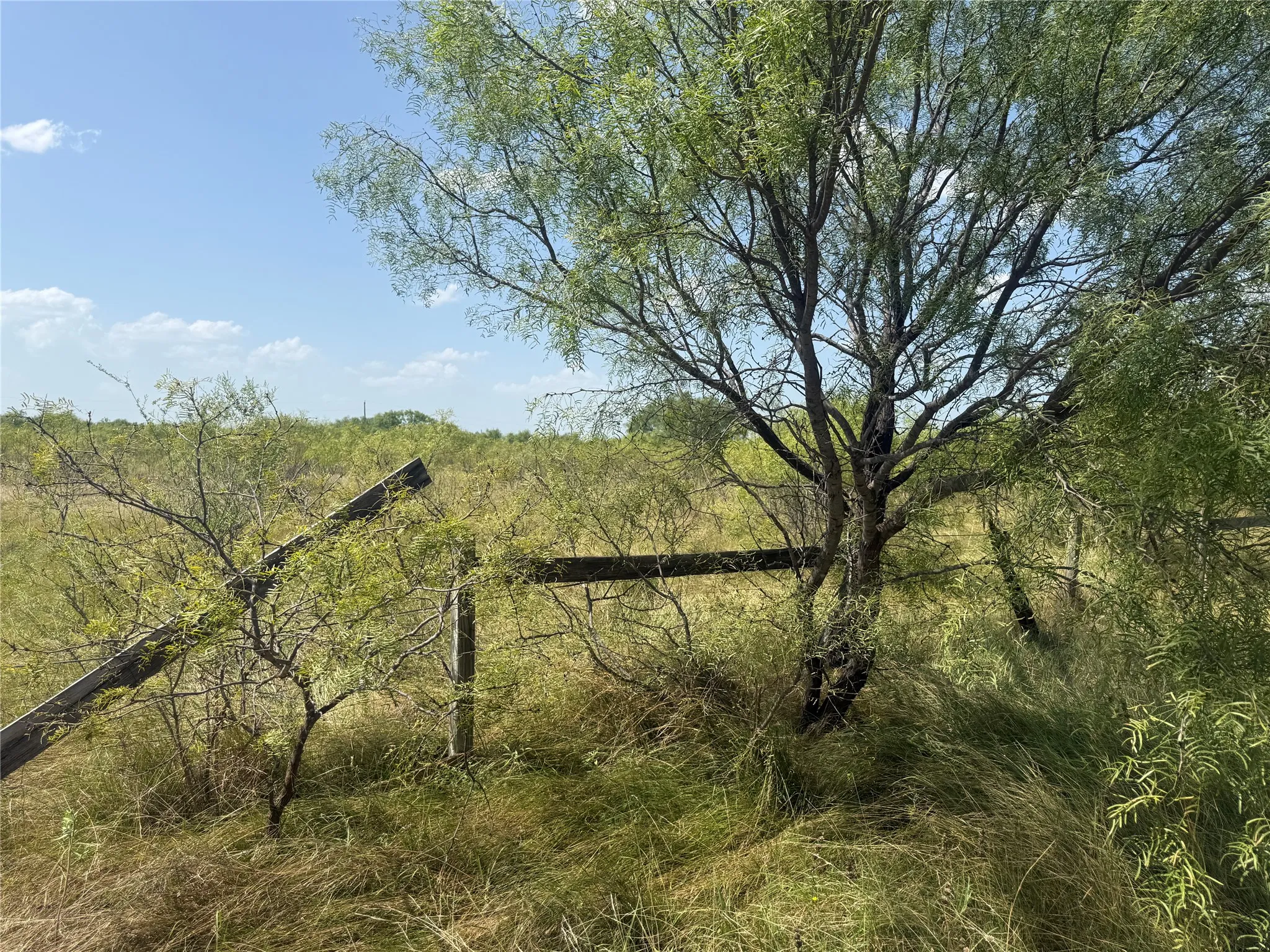 Improved Land For Sale in Brown County , 140 Arapaho Road, Brownwood, Texas 76801, 0, 0, Garage spaces, 0 Sqft, built in 0, mls#21337090, Real Estate Agent in Brownwood, Homes For Sale in Brown county, Homes For Sale in Brownwood, Realtor in Brownwood Texas, Real Estate Brokerage Independent Realty Texas, Luminita Cordes Realtor