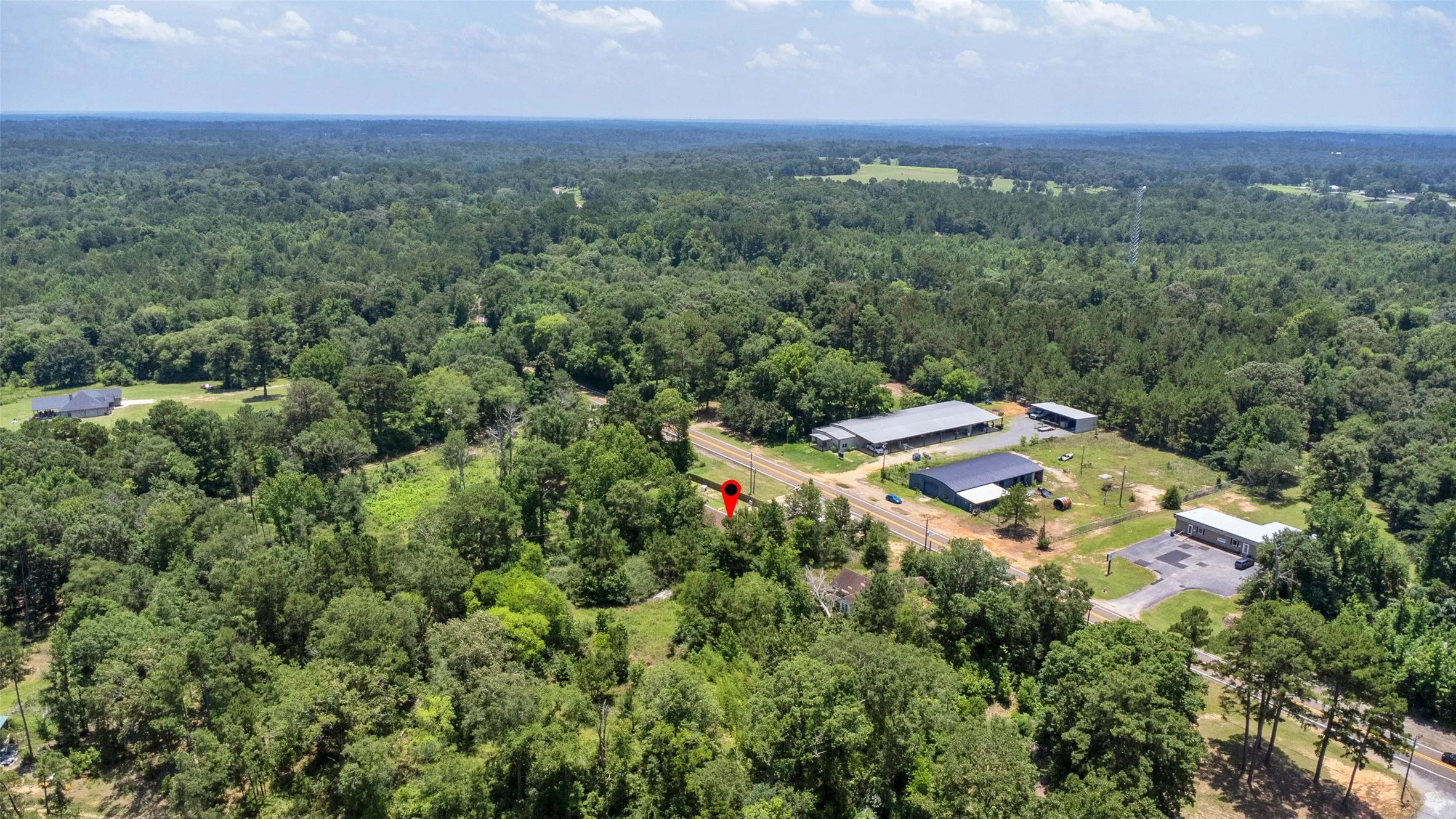 Expansive wooded acreage with a central clearing