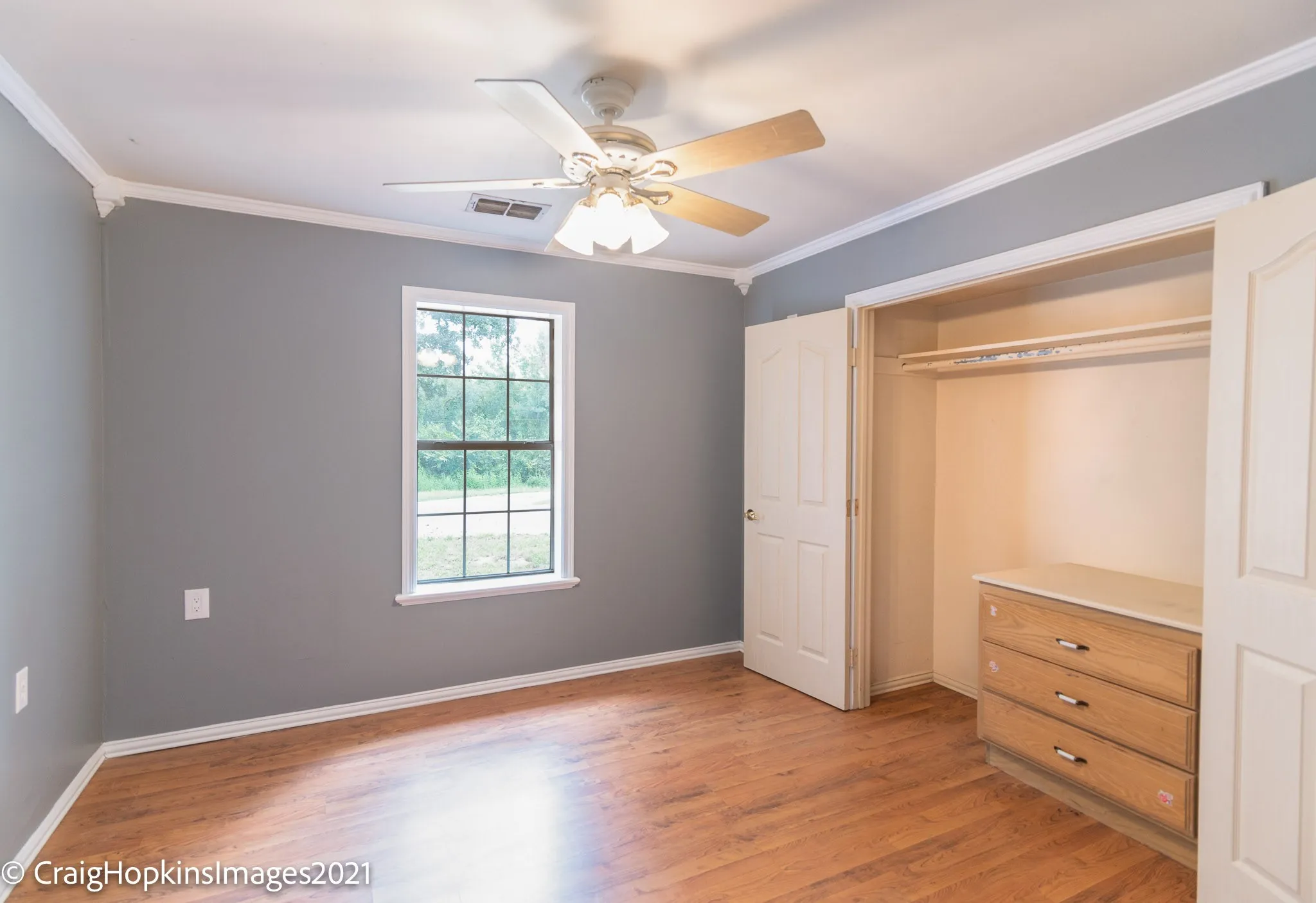 Room featuring wood-finish flooring, a ceiling fan with light fixture, gray painted walls, and white crown molding