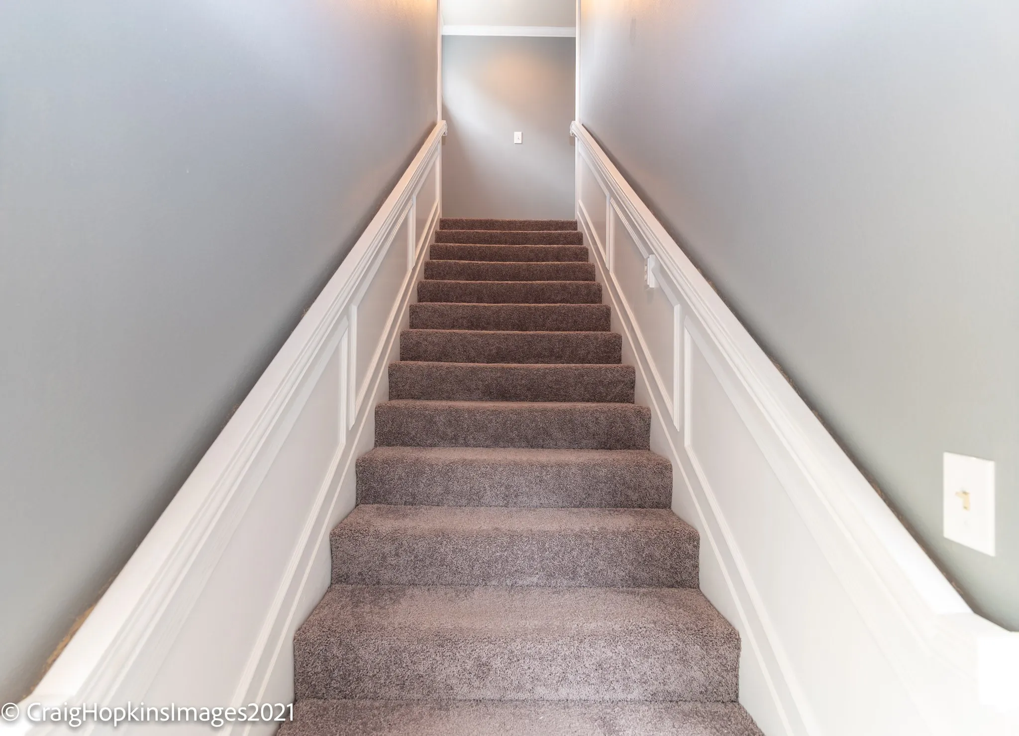 Staircase featuring light gray walls, white wainscoting, and gray carpeted treads