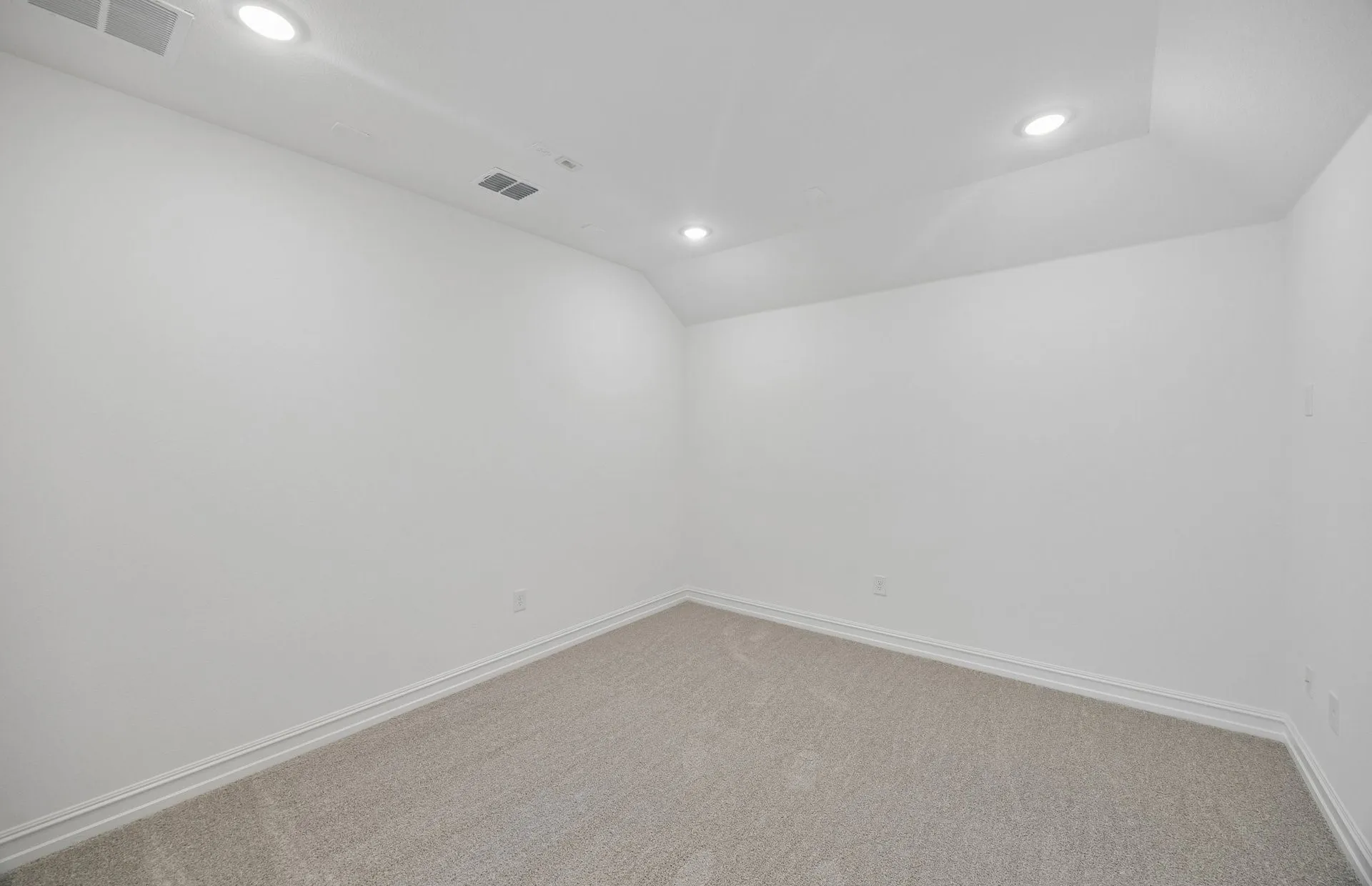 Spacious media room