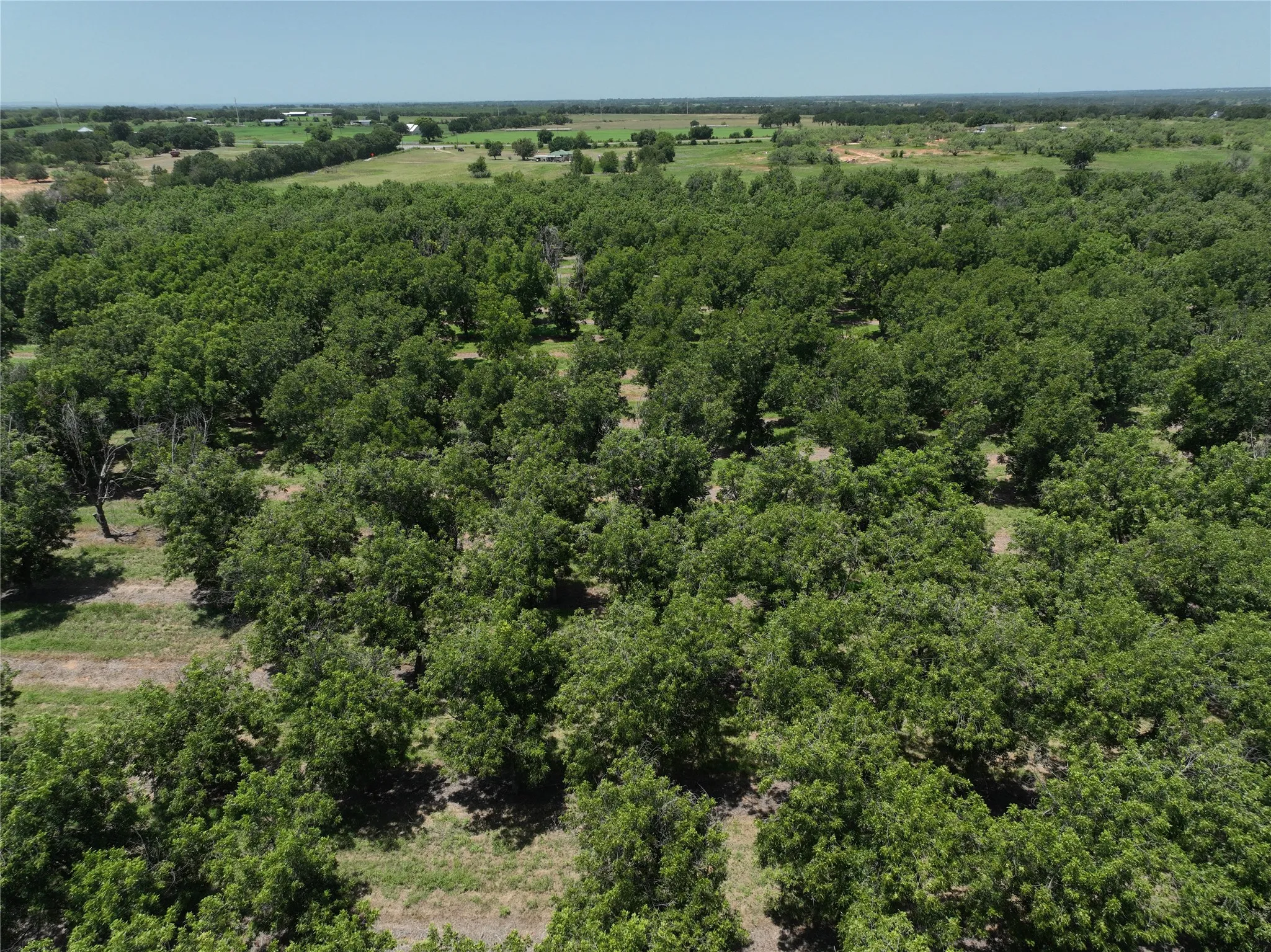 Improved Land For Sale in Comanche County , TBD CR 426, Comanche, Texas 76442, 0, 0, Garage spaces, 0 Sqft, built in 0, Price $735,300, mls#21336470, Real Estate Agent in Comanche, Homes For Sale in Comanche county, Homes For Sale in Comanche, Realtor in Comanche Texas, Real Estate Brokerage Independent Realty Texas, Luminita Cordes Realtor