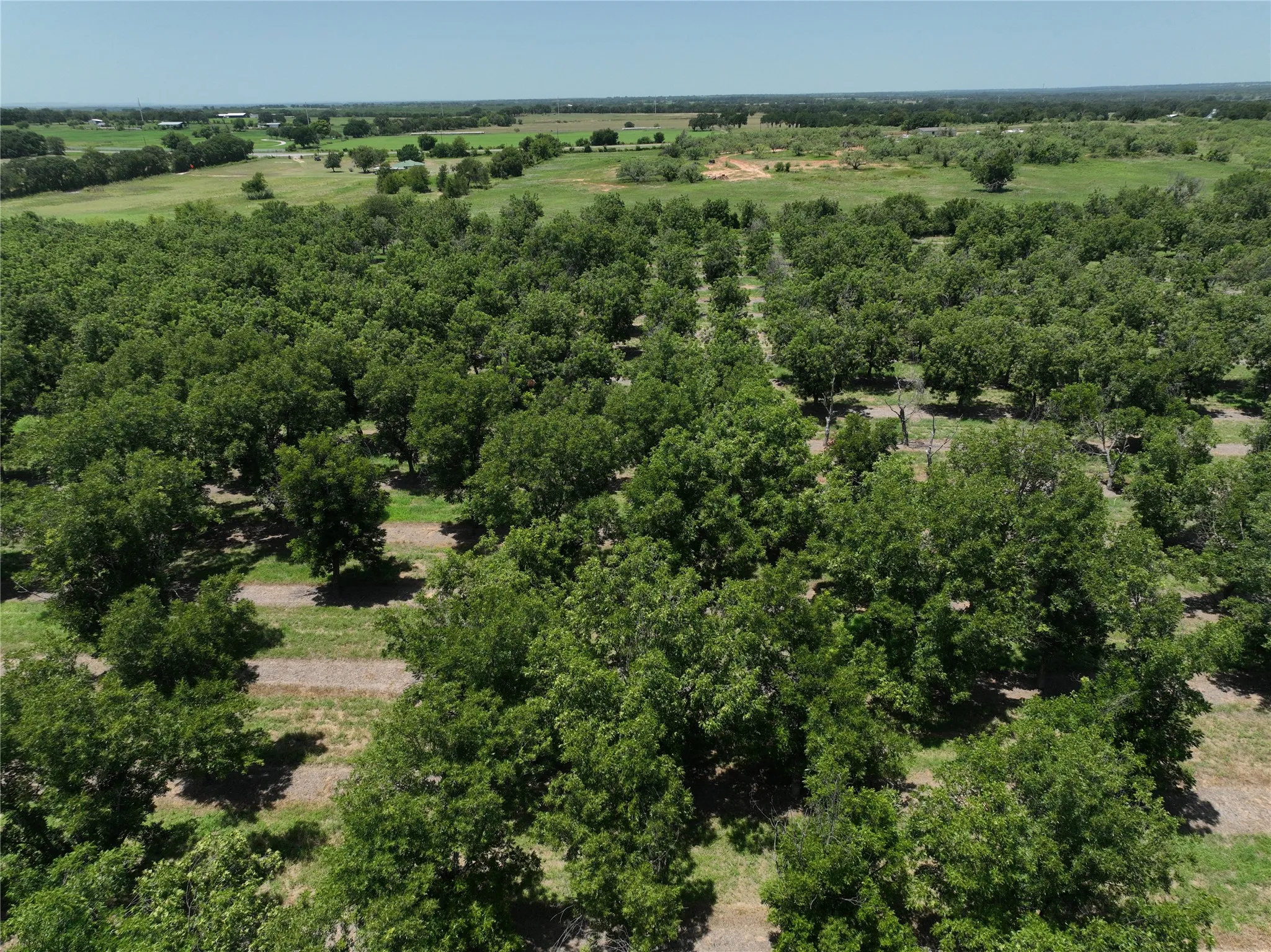Improved Land For Sale in Comanche County , TBD CR 426, Comanche, Texas 76442, 0, 0, Garage spaces, 0 Sqft, built in 0, Price $735,300, mls#21336470, Real Estate Agent in Comanche, Homes For Sale in Comanche county, Homes For Sale in Comanche, Realtor in Comanche Texas, Real Estate Brokerage Independent Realty Texas, Luminita Cordes Realtor