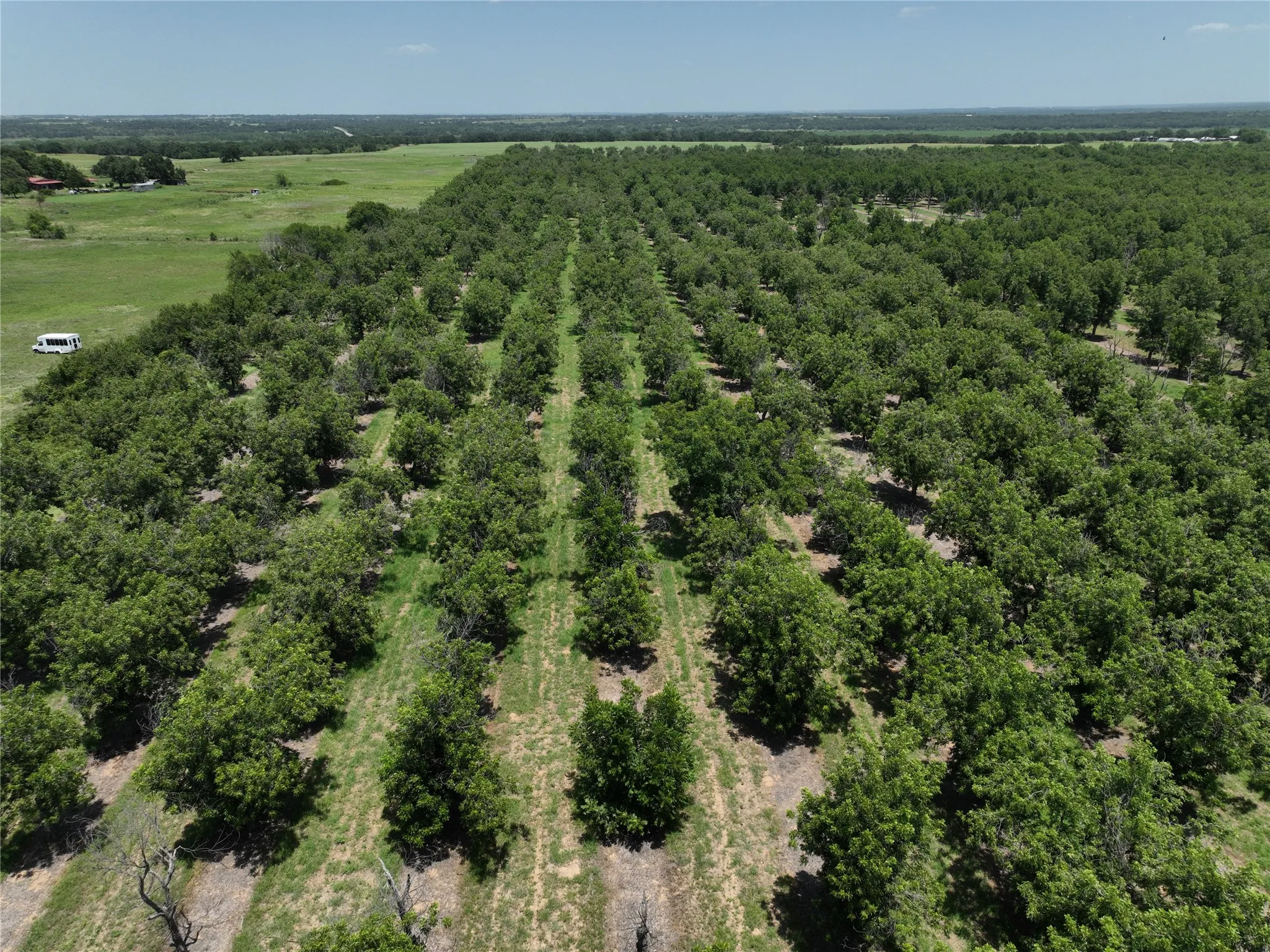 Improved Land For Sale in Comanche County , TBD CR 426, Comanche, Texas 76442, 0, 0, Garage spaces, 0 Sqft, built in 0, Price $735,300, mls#21336470, Real Estate Agent in Comanche, Homes For Sale in Comanche county, Homes For Sale in Comanche, Realtor in Comanche Texas, Real Estate Brokerage Independent Realty Texas, Luminita Cordes Realtor