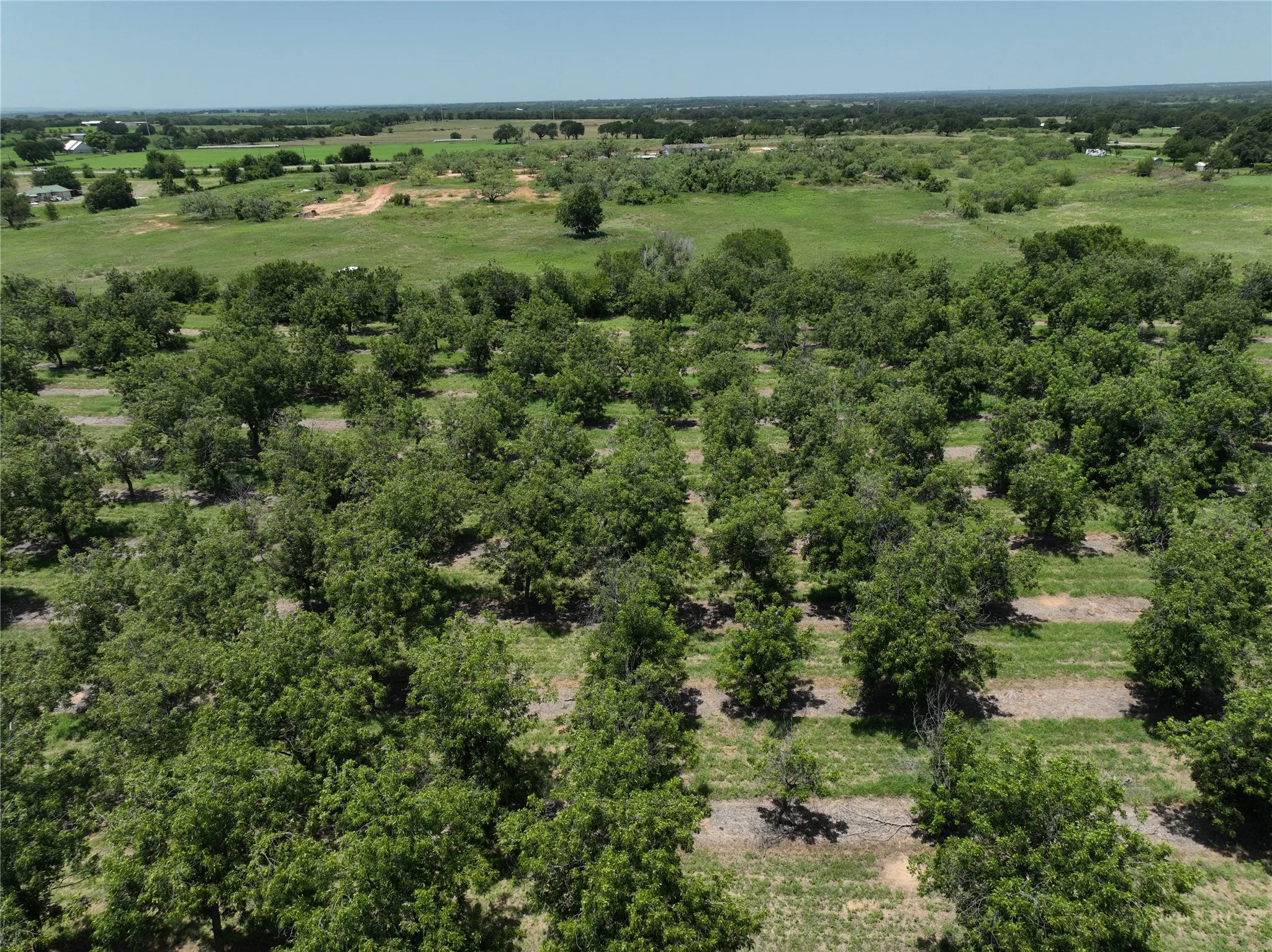 Improved Land For Sale in Comanche County , TBD CR 426, Comanche, Texas 76442, 0, 0, Garage spaces, 0 Sqft, built in 0, Price $735,300, mls#21336470, Real Estate Agent in Comanche, Homes For Sale in Comanche county, Homes For Sale in Comanche, Realtor in Comanche Texas, Real Estate Brokerage Independent Realty Texas, Luminita Cordes Realtor