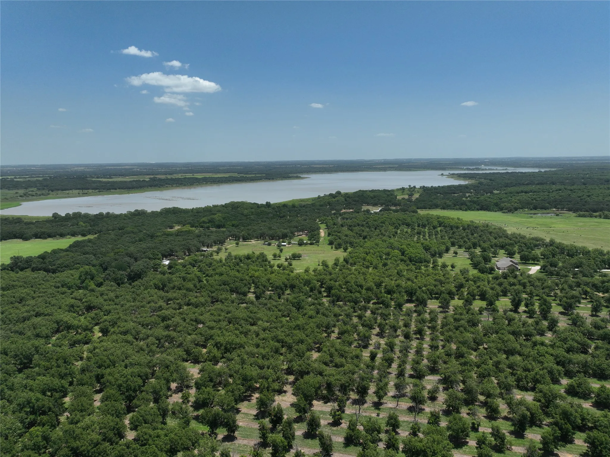 Improved Land For Sale in Comanche County , TBD CR 426, Comanche, Texas 76442, 0, 0, Garage spaces, 0 Sqft, built in 0, Price $735,300, mls#21336470, Real Estate Agent in Comanche, Homes For Sale in Comanche county, Homes For Sale in Comanche, Realtor in Comanche Texas, Real Estate Brokerage Independent Realty Texas, Luminita Cordes Realtor