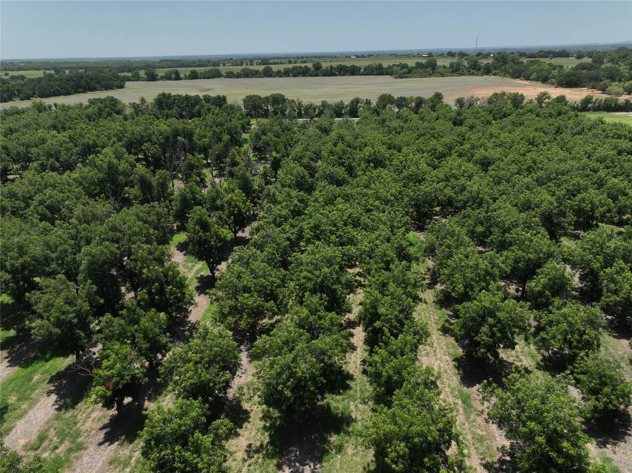 Improved Land For Sale in Comanche County , TBD CR 426, Comanche, Texas 76442, 0, 0, Garage spaces, 0 Sqft, built in 0, Price $735,300, mls#21336470, Real Estate Agent in Comanche, Homes For Sale in Comanche county, Homes For Sale in Comanche, Realtor in Comanche Texas, Real Estate Brokerage Independent Realty Texas, Luminita Cordes Realtor
