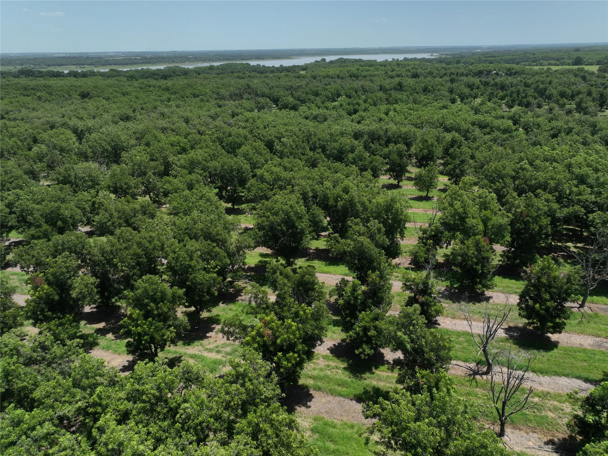 Improved Land For Sale in Comanche County , TBD CR 426, Comanche, Texas 76442, 0, 0, Garage spaces, 0 Sqft, built in 0, Price $735,300, mls#21336470, Real Estate Agent in Comanche, Homes For Sale in Comanche county, Homes For Sale in Comanche, Realtor in Comanche Texas, Real Estate Brokerage Independent Realty Texas, Luminita Cordes Realtor