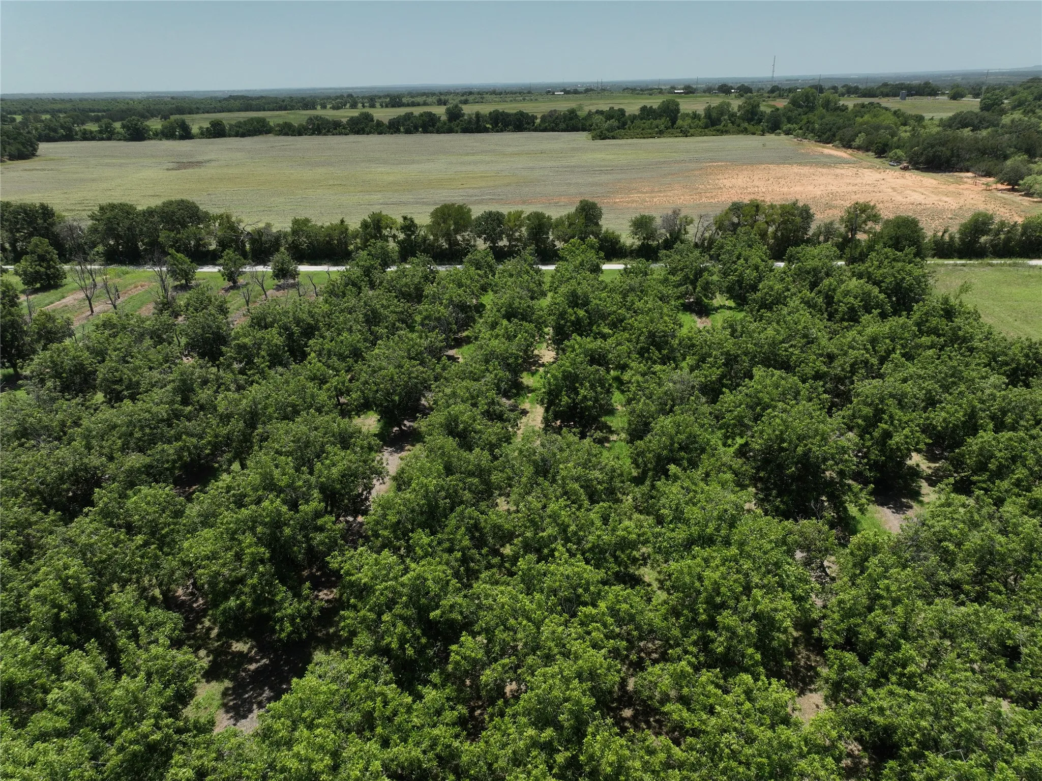 Improved Land For Sale in Comanche County , TBD CR 426, Comanche, Texas 76442, 0, 0, Garage spaces, 0 Sqft, built in 0, Price $735,300, mls#21336470, Real Estate Agent in Comanche, Homes For Sale in Comanche county, Homes For Sale in Comanche, Realtor in Comanche Texas, Real Estate Brokerage Independent Realty Texas, Luminita Cordes Realtor