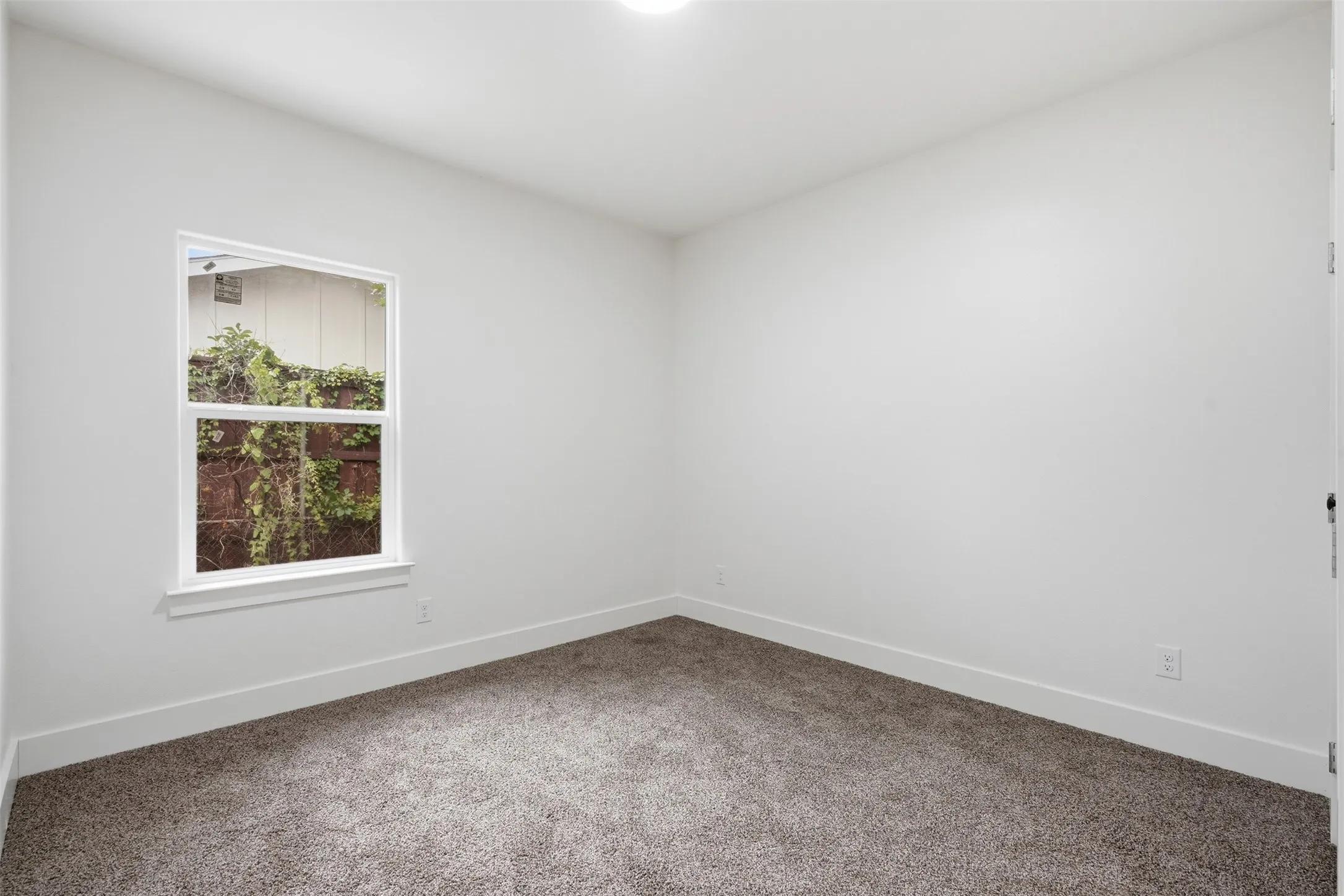 Bright interior room featuring a window, neutral wall paint, white trim, and new carpeting