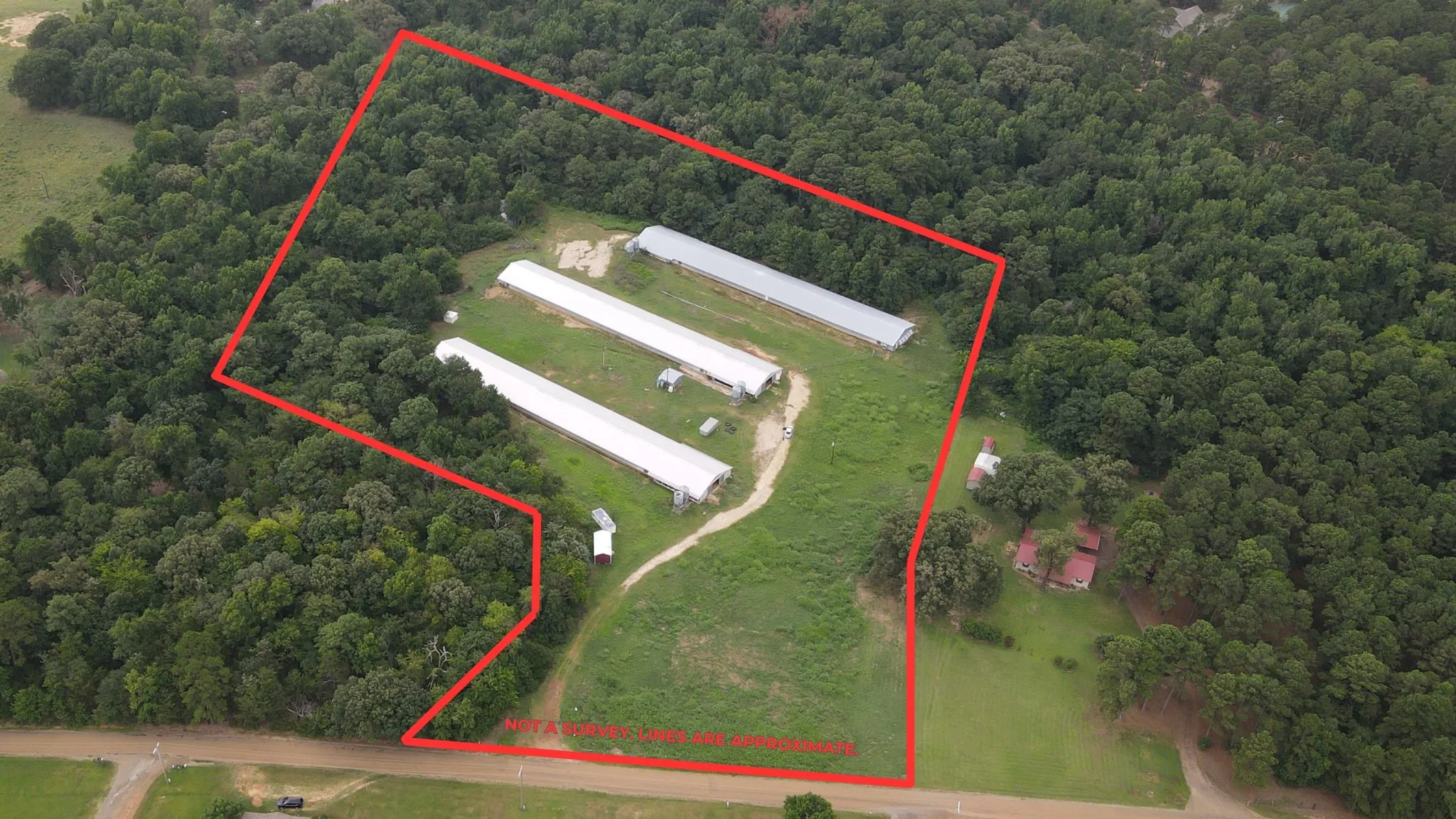 Improved Land For Sale in Camp County , TBD County Road 4114, Pittsburg, Texas 75686, 0, 0, Garage spaces, 0 Sqft, built in 1989, mls#21337718, Real Estate Agent in Pittsburg, Homes For Sale in Camp county, Homes For Sale in Pittsburg, Realtor in Pittsburg Texas, Real Estate Brokerage Independent Realty Texas, Luminita Cordes Realtor