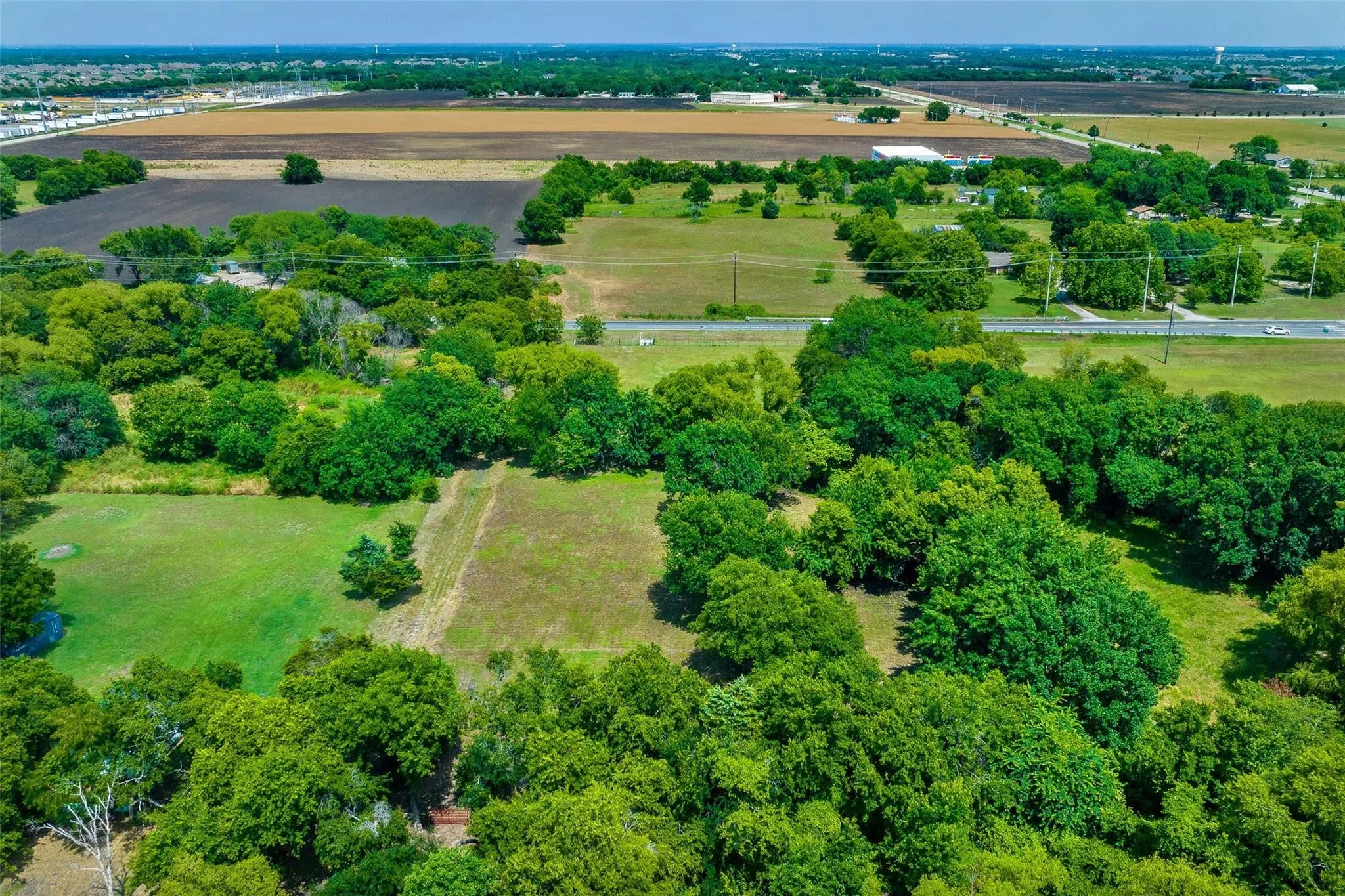 Expansive undeveloped land with abundant mature trees and open clearings
