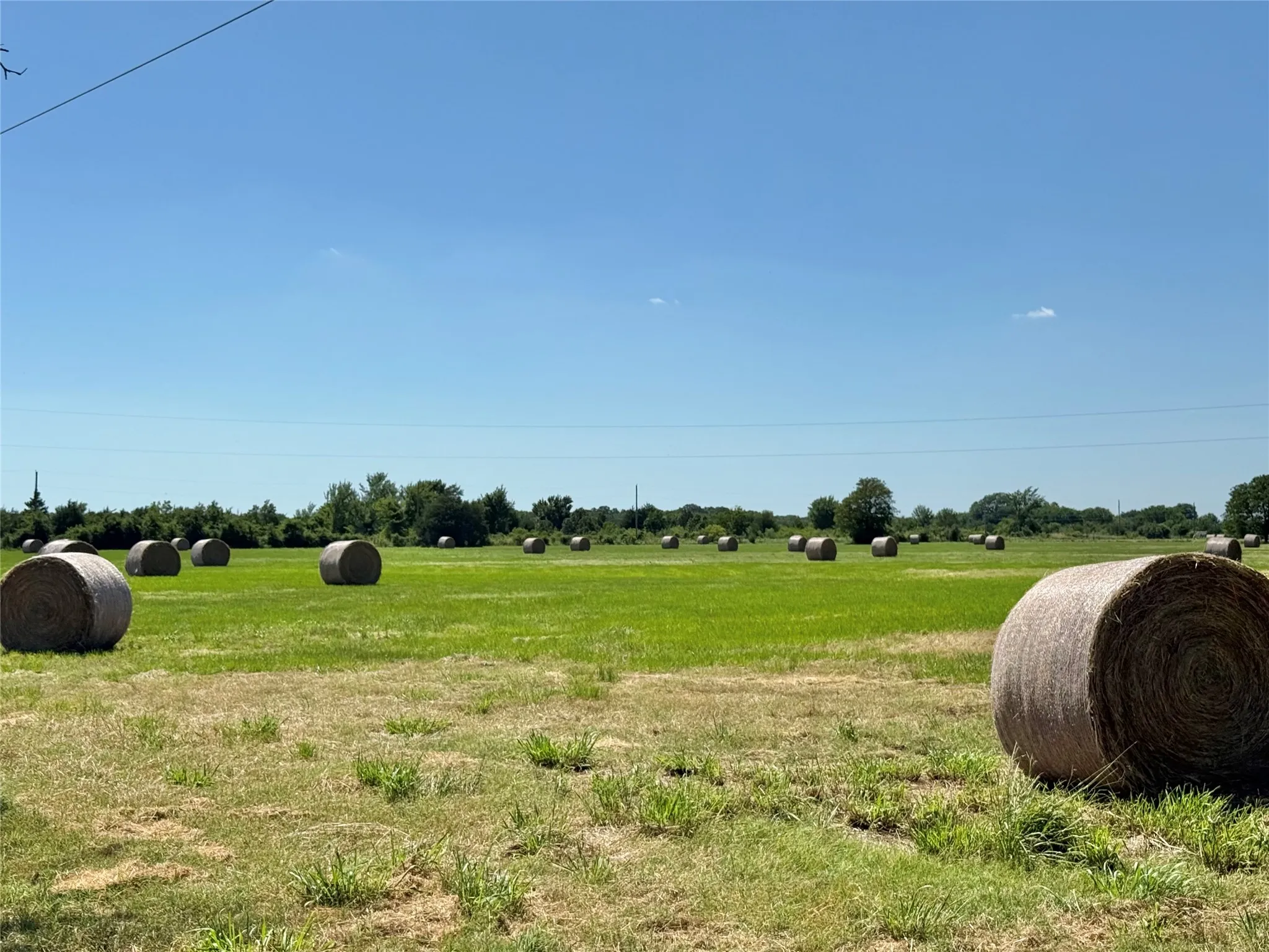 Farm For Sale in Navarro County , 315 County Road 2240, Kerens, Texas 75144, 2 Bedroom, 2 Bathroom, 4 Garage spaces, 1,320 Sqft, built in 2002, mls#21337587, Real Estate Agent in Kerens, Homes For Sale in Navarro county, Homes For Sale in Kerens, Realtor in Kerens Texas, Real Estate Brokerage Independent Realty Texas, Luminita Cordes Realtor