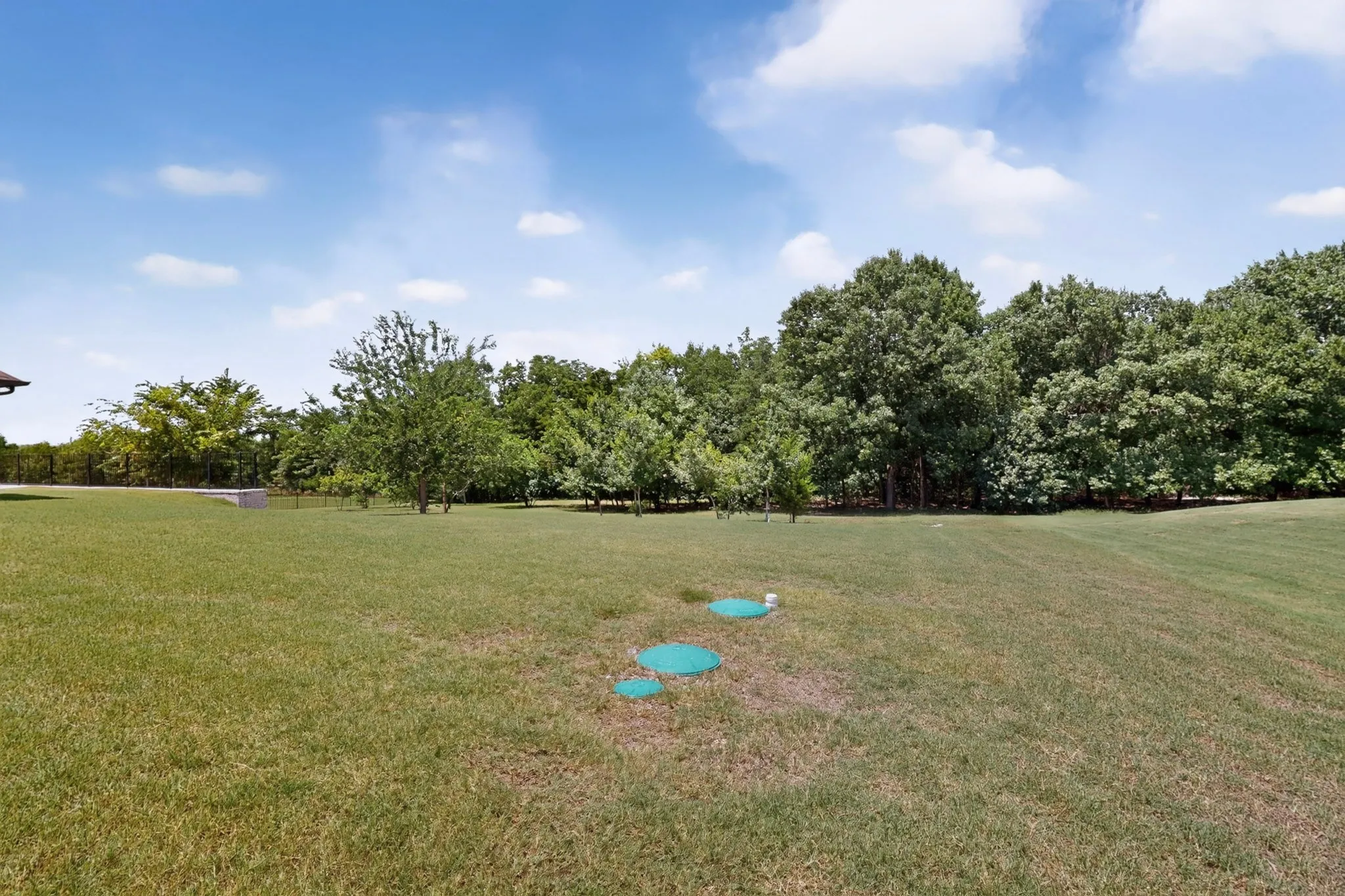 Expansive grassy yard with mature trees bordering the property