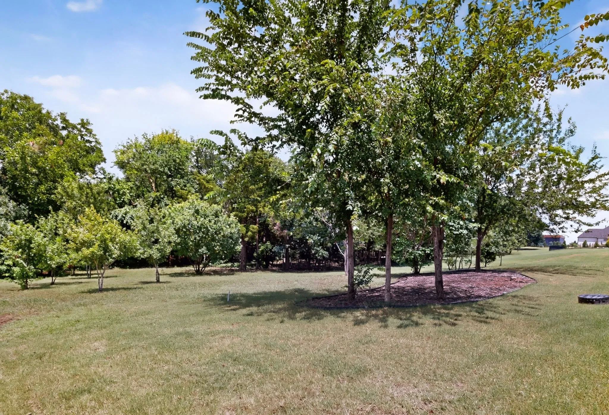 Expansive grassy lawn with established trees and natural landscaping