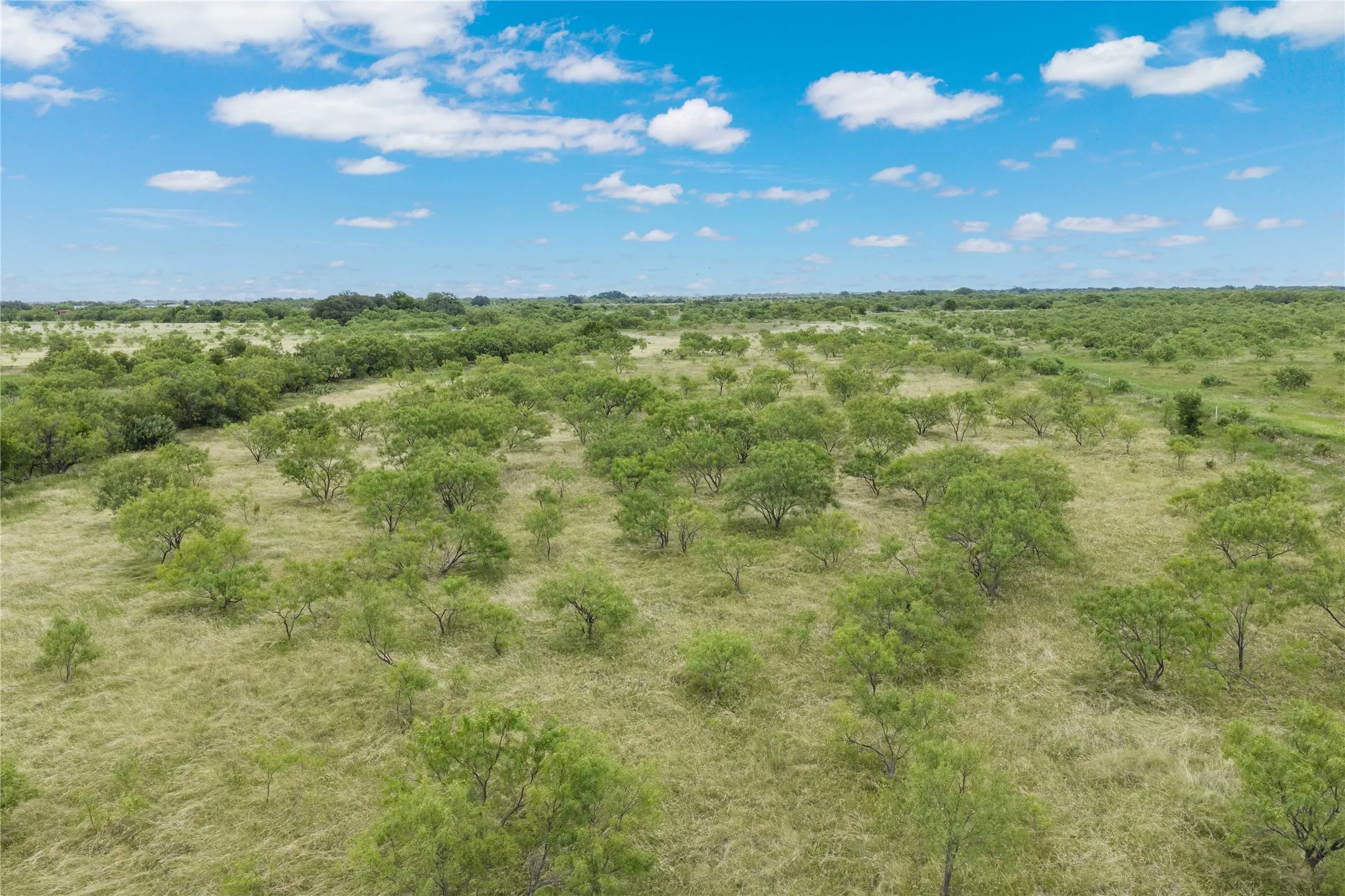 Unimproved Land For Sale in Brown County , 6000 Lot 1 Fm 586 S, Bangs, Texas 76823, 0, 0, Garage spaces, 0 Sqft, built in 0, mls#21337831, Real Estate Agent in Bangs, Homes For Sale in Brown county, Homes For Sale in Bangs, Realtor in Bangs Texas, Real Estate Brokerage Independent Realty Texas, Luminita Cordes Realtor