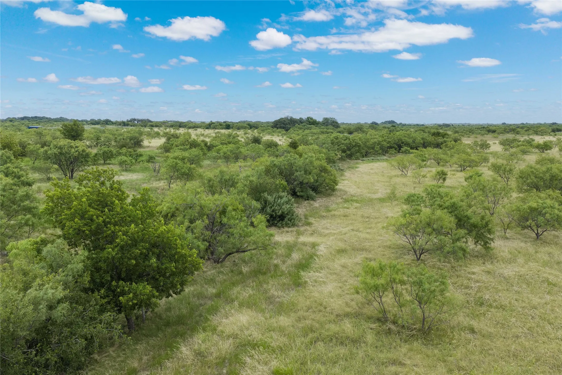 Expansive natural landscape featuring scattered mature trees and open grassy areas under a clear sky