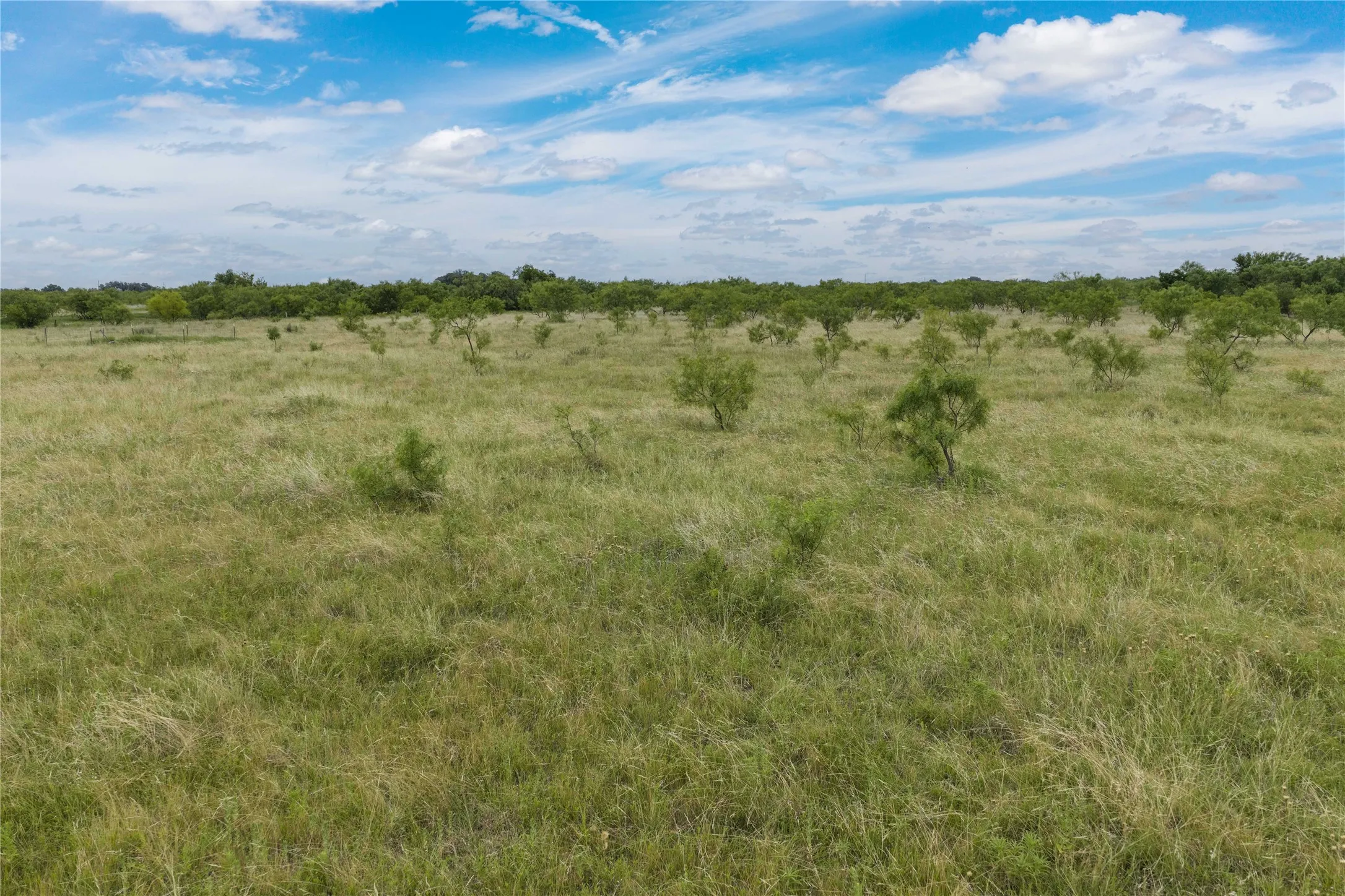 Expansive open land featuring natural grasses and scattered shrubbery, bordered by a distant treeline