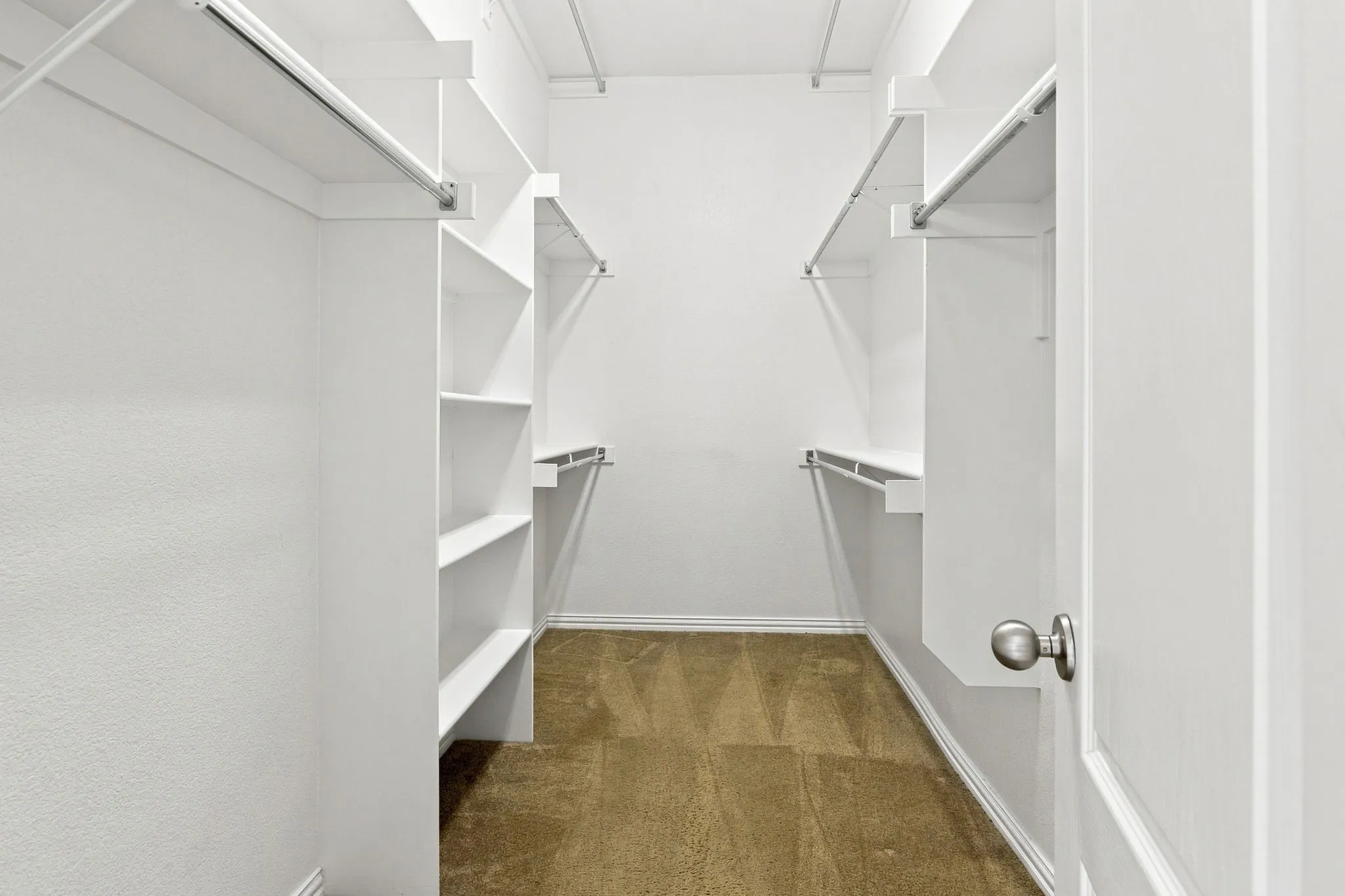 Walk-in closet featuring built-in shelving, multiple hanging rods, and carpet flooring