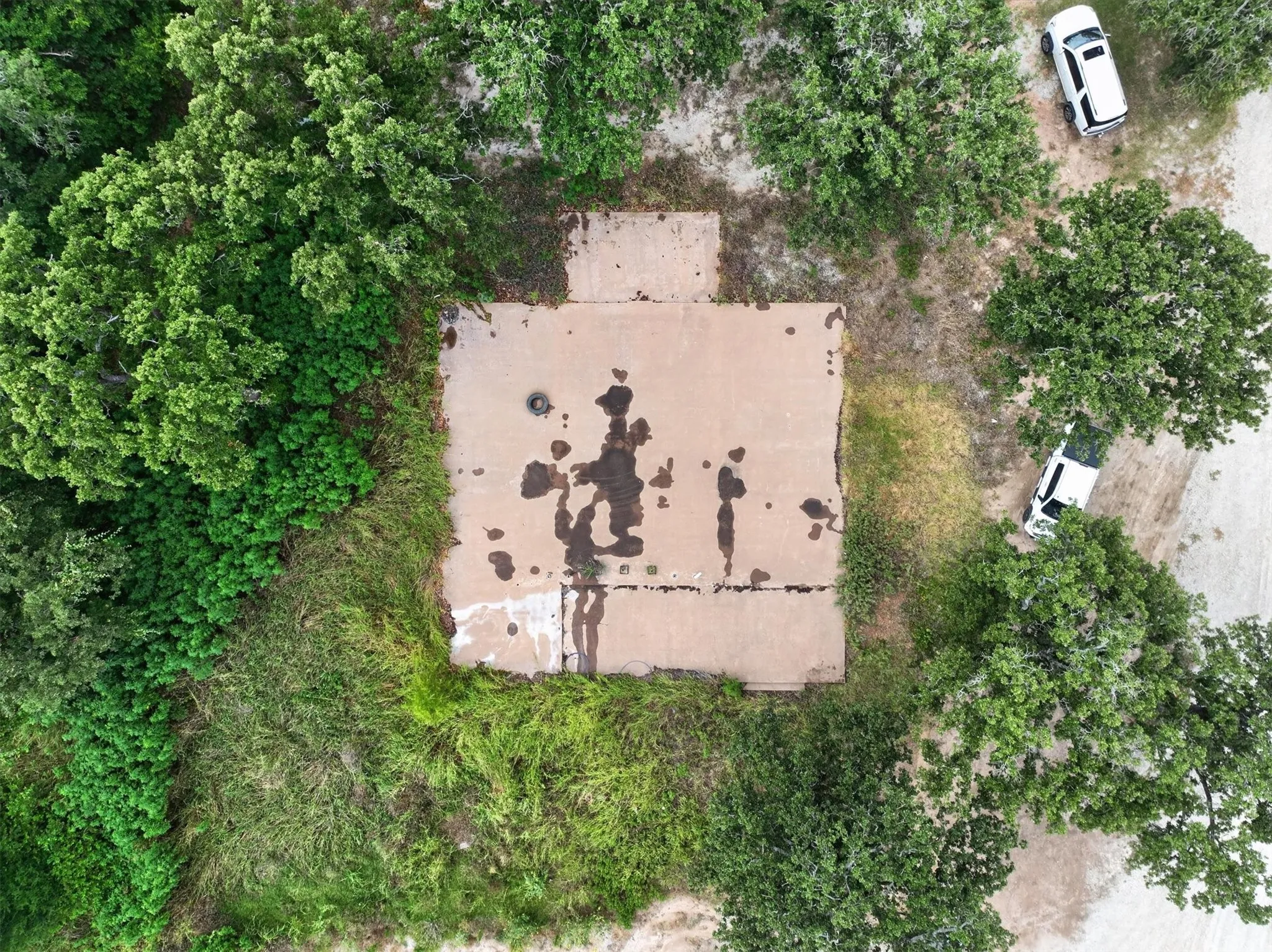 Concrete pad surrounded by mature trees and natural vegetation