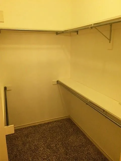 Walk-in closet featuring white walls, multi-level shelving, and a dark brown carpet