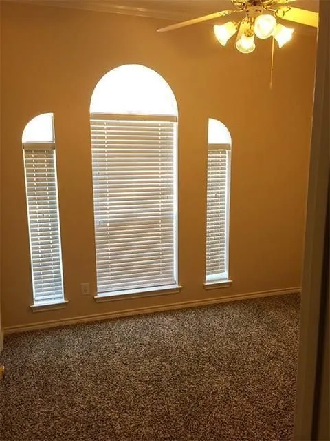 Arch-top windows with blinds and a textured carpeted floor