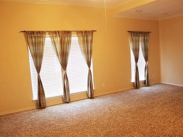 Spacious room featuring neutral carpeting, light-toned walls, and crown molding