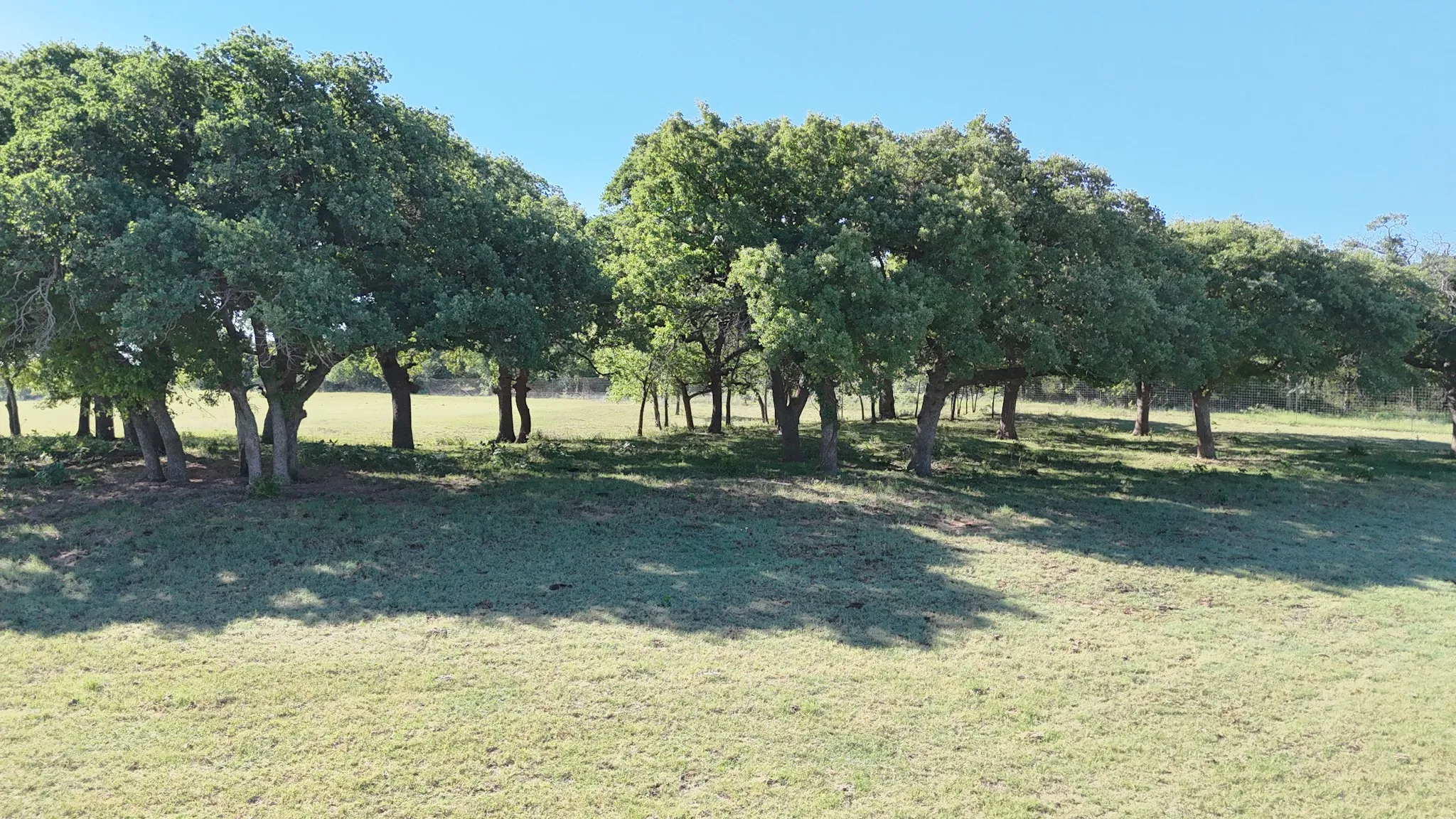 Unimproved Land For Sale in Comanche County , TBD County Road 323, Comanche, Texas 76442, 0, 0, Garage spaces, 0 Sqft, built in 0, Price $3,120,000, mls#21320877, Real Estate Agent in Comanche, Homes For Sale in Comanche county, Homes For Sale in Comanche, Realtor in Comanche Texas, Real Estate Brokerage Independent Realty Texas, Luminita Cordes Realtor