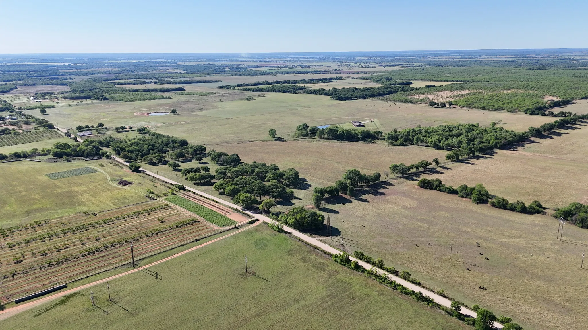 Expansive rural landscape featuring extensive open fields, scattered mature trees, and a visible dirt road