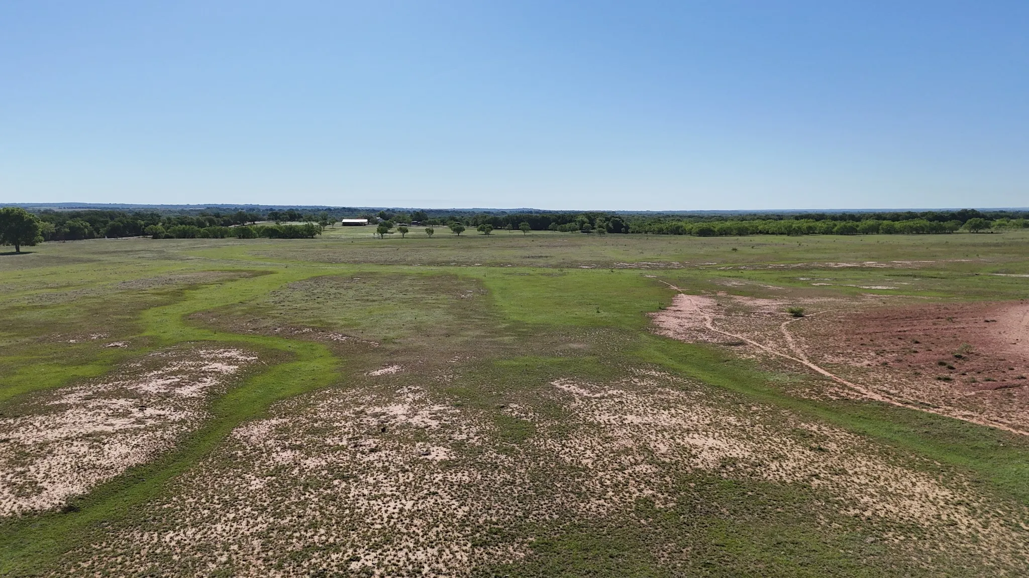 Expansive open land with varied ground cover and distant tree lines