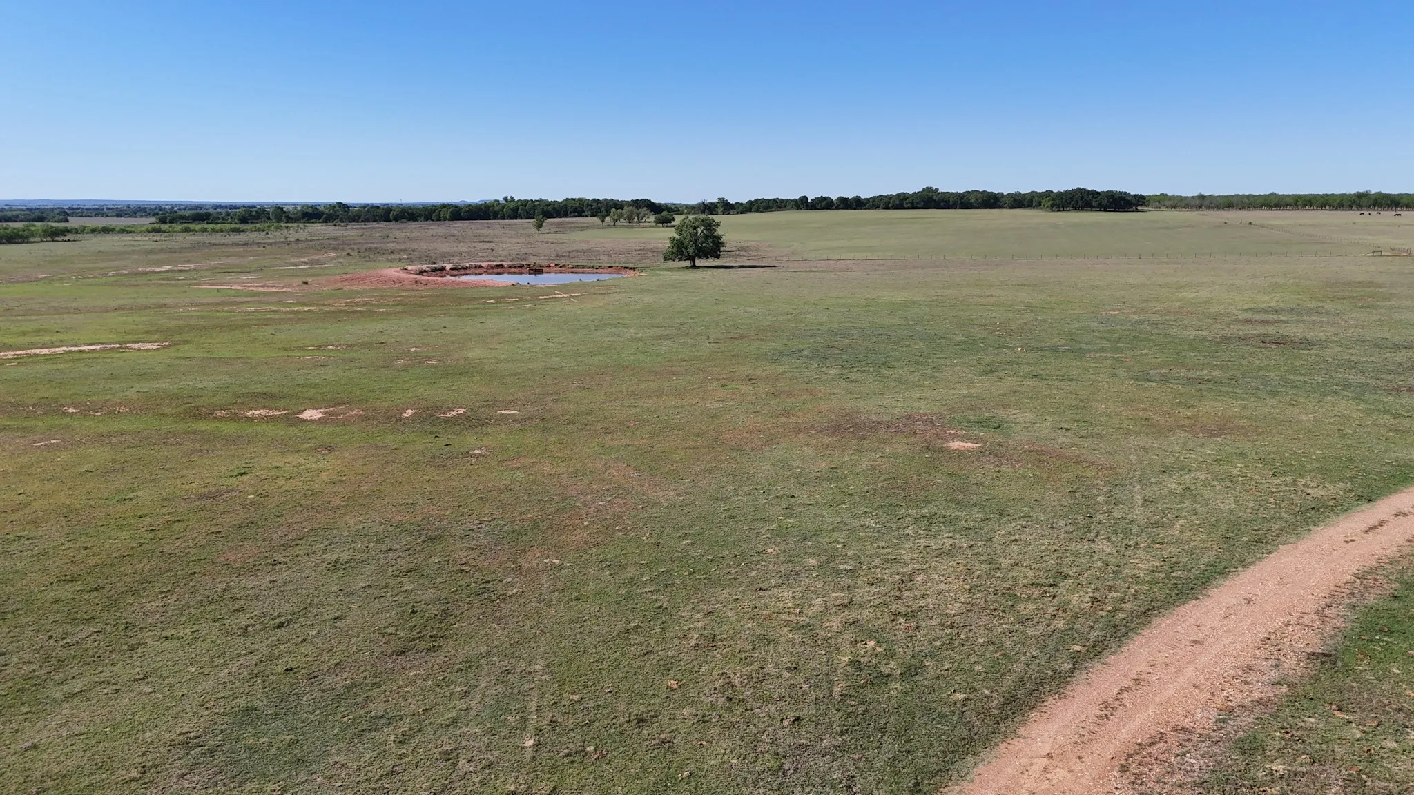 Unimproved Land For Sale in Comanche County , TBD County Road 323, Comanche, Texas 76442, 0, 0, Garage spaces, 0 Sqft, built in 0, Price $3,120,000, mls#21320877, Real Estate Agent in Comanche, Homes For Sale in Comanche county, Homes For Sale in Comanche, Realtor in Comanche Texas, Real Estate Brokerage Independent Realty Texas, Luminita Cordes Realtor