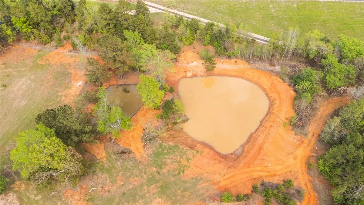Two distinct ponds surrounded by varied mature trees and exposed red earth