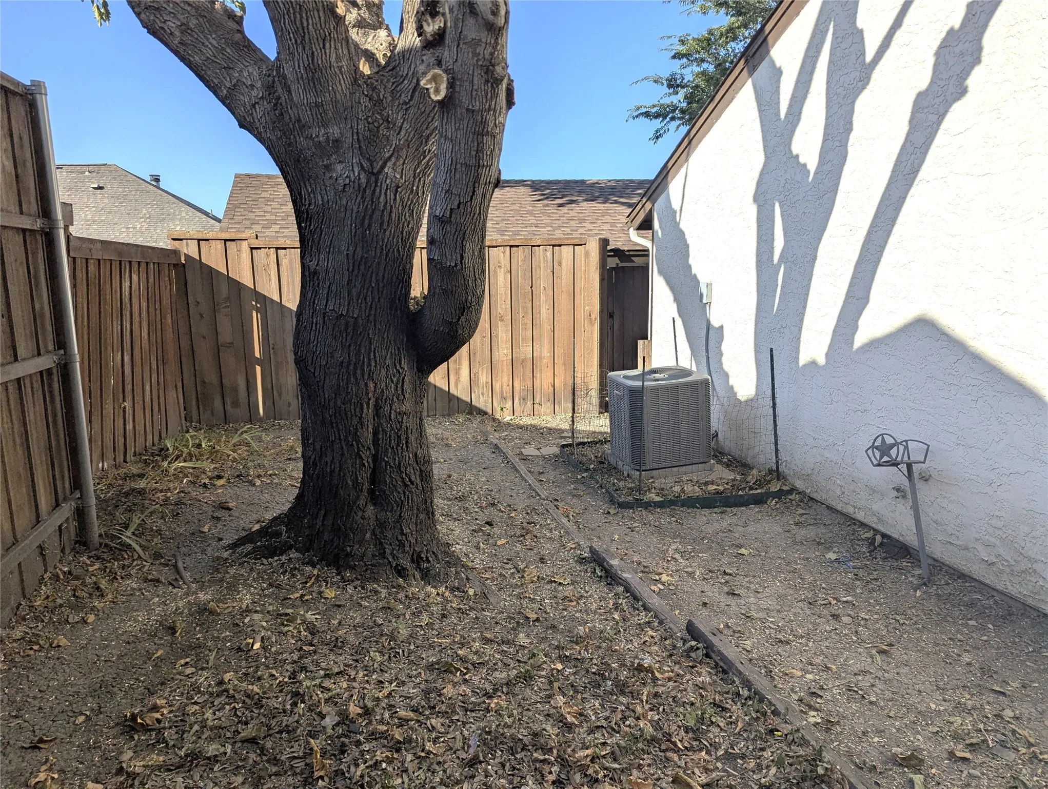 Mature tree with a textured trunk, wood fencing, and a stucco exterior