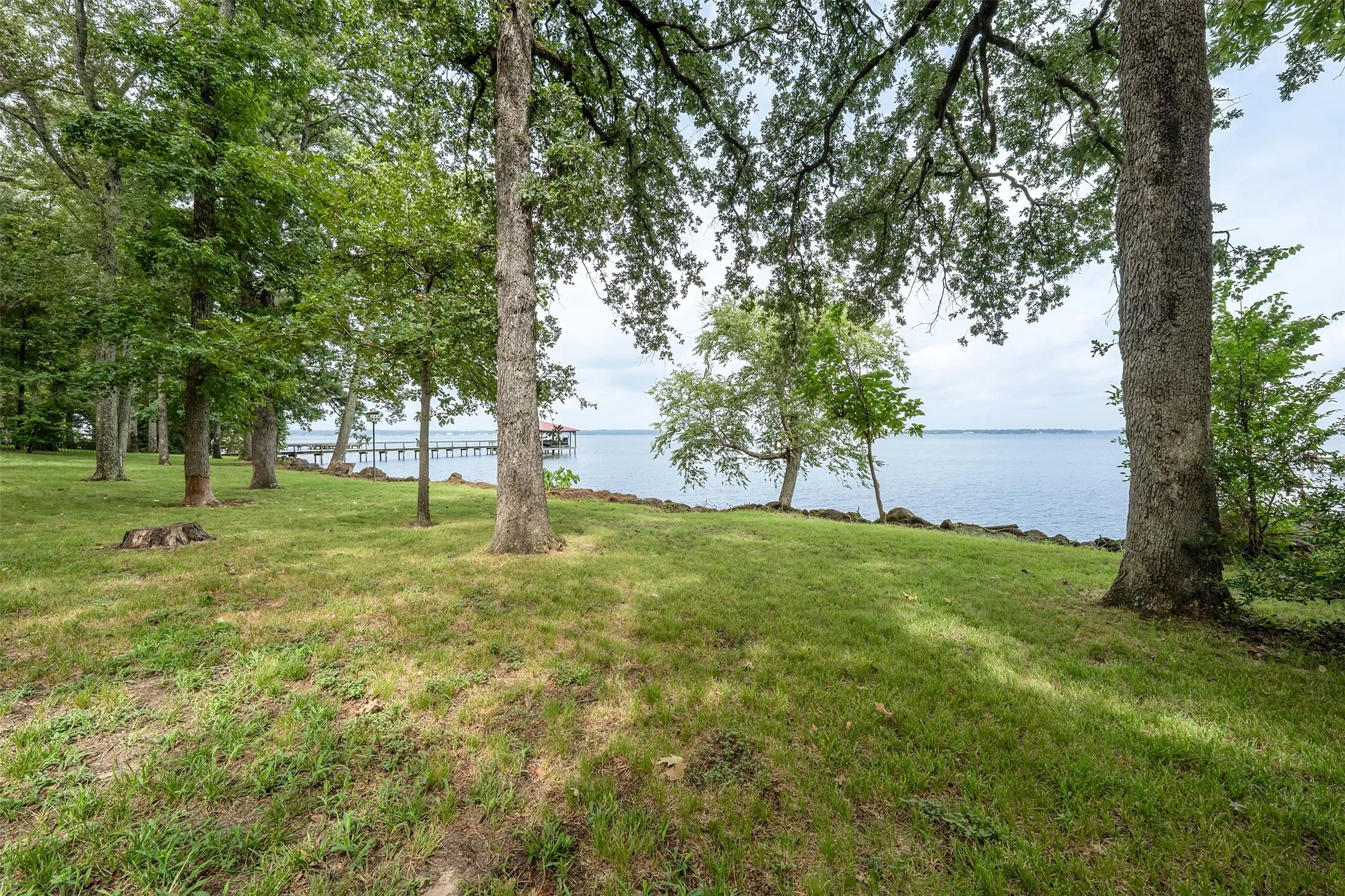 Mature Trees