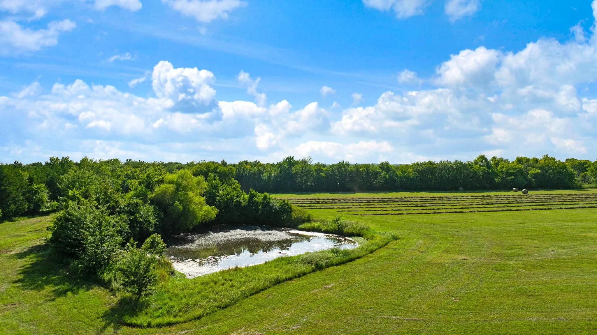 Unimproved Land For Sale in Fannin County , TBD FM 100, Honey Grove, Texas 75446, 0, 0, Garage spaces, 0 Sqft, built in 0, mls#21338178, Real Estate Agent in Honey Grove, Homes For Sale in Fannin county, Homes For Sale in Honey Grove, Realtor in Honey Grove Texas, Real Estate Brokerage Independent Realty Texas, Luminita Cordes Realtor