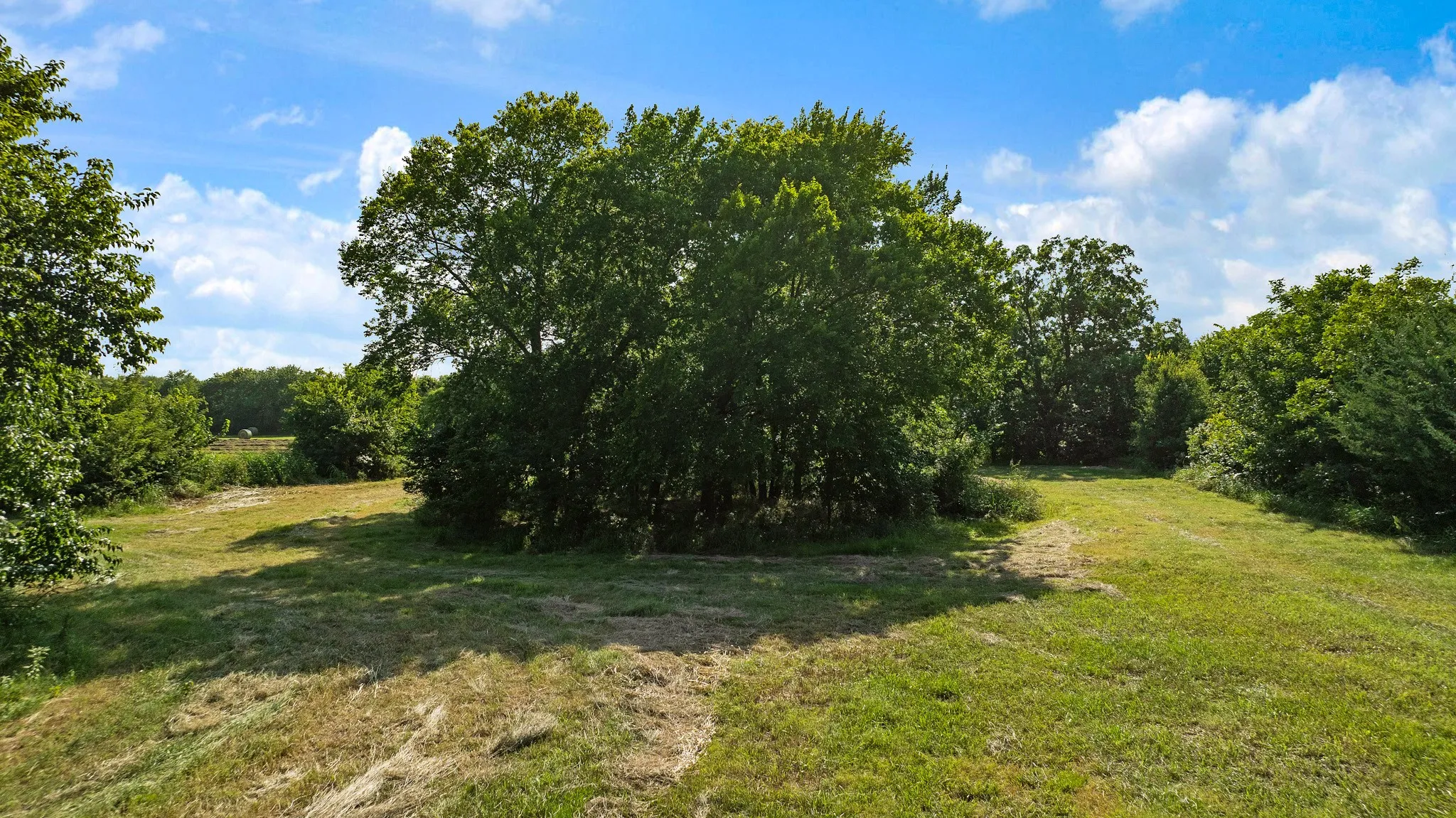 Unimproved Land For Sale in Fannin County , TBD FM 100, Honey Grove, Texas 75446, 0, 0, Garage spaces, 0 Sqft, built in 0, mls#21338178, Real Estate Agent in Honey Grove, Homes For Sale in Fannin county, Homes For Sale in Honey Grove, Realtor in Honey Grove Texas, Real Estate Brokerage Independent Realty Texas, Luminita Cordes Realtor