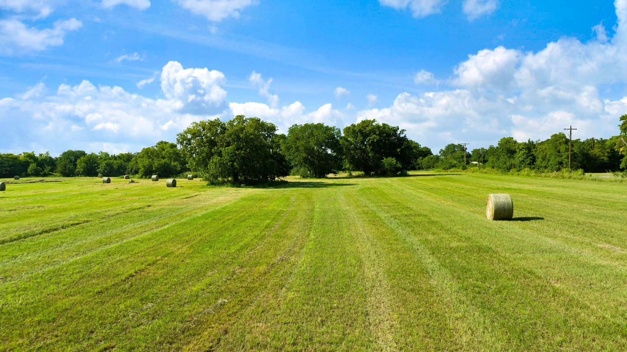 Unimproved Land For Sale in Fannin County , TBD FM 100, Honey Grove, Texas 75446, 0, 0, Garage spaces, 0 Sqft, built in 0, mls#21338178, Real Estate Agent in Honey Grove, Homes For Sale in Fannin county, Homes For Sale in Honey Grove, Realtor in Honey Grove Texas, Real Estate Brokerage Independent Realty Texas, Luminita Cordes Realtor