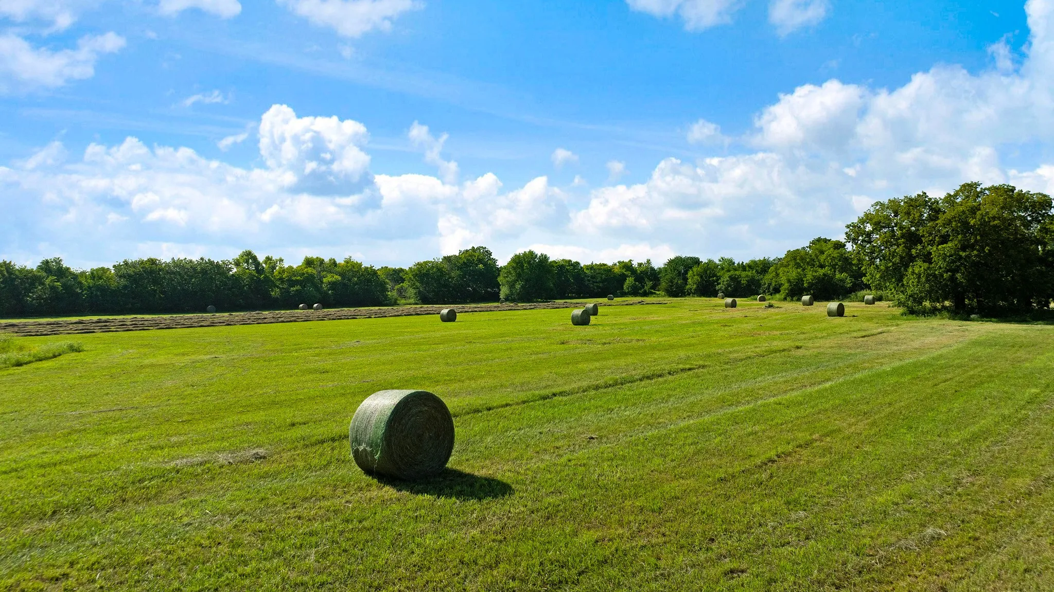 Unimproved Land For Sale in Fannin County , TBD FM 100, Honey Grove, Texas 75446, 0, 0, Garage spaces, 0 Sqft, built in 0, mls#21338178, Real Estate Agent in Honey Grove, Homes For Sale in Fannin county, Homes For Sale in Honey Grove, Realtor in Honey Grove Texas, Real Estate Brokerage Independent Realty Texas, Luminita Cordes Realtor